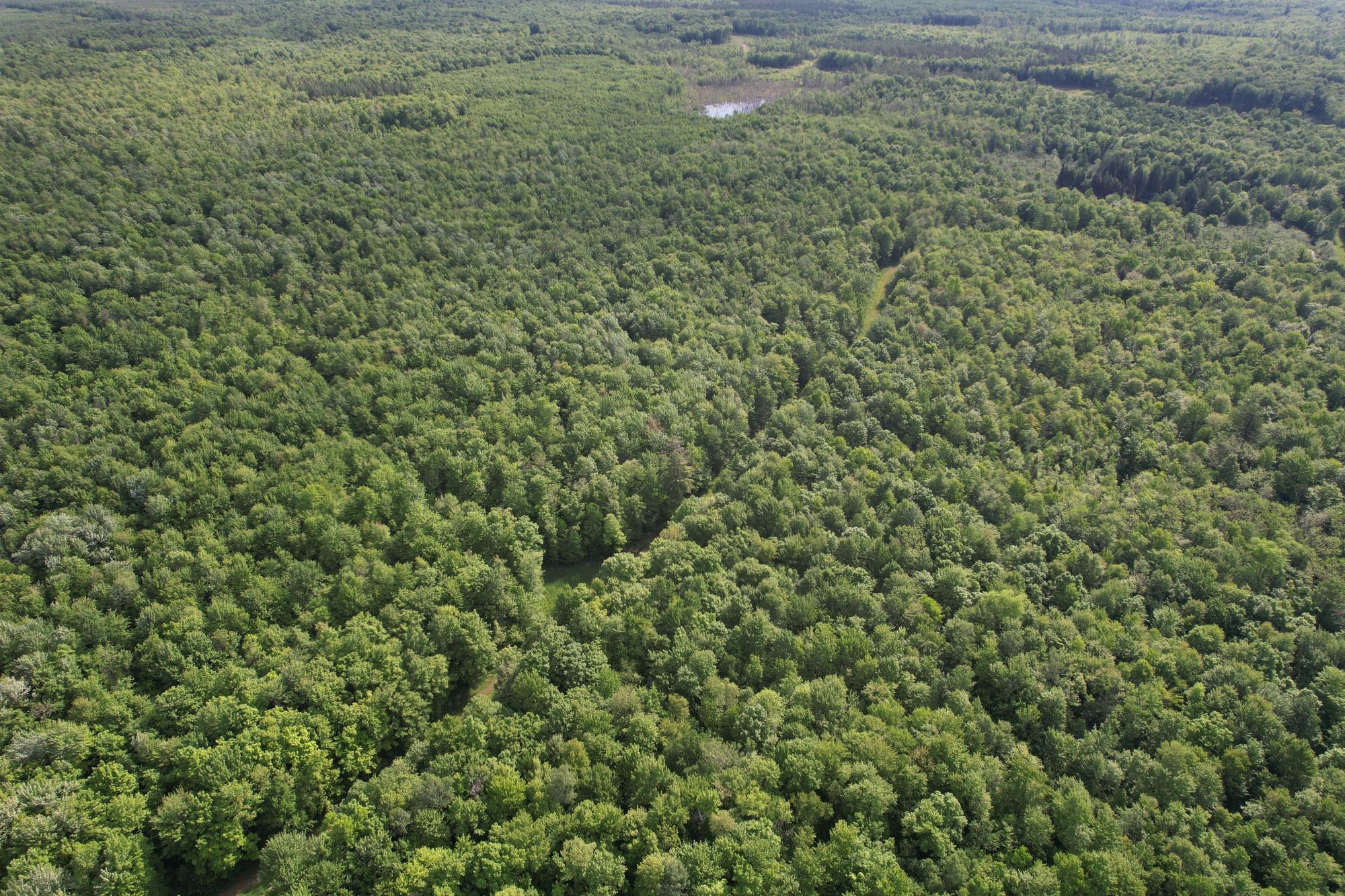 120+/- SILVER CREEK RD