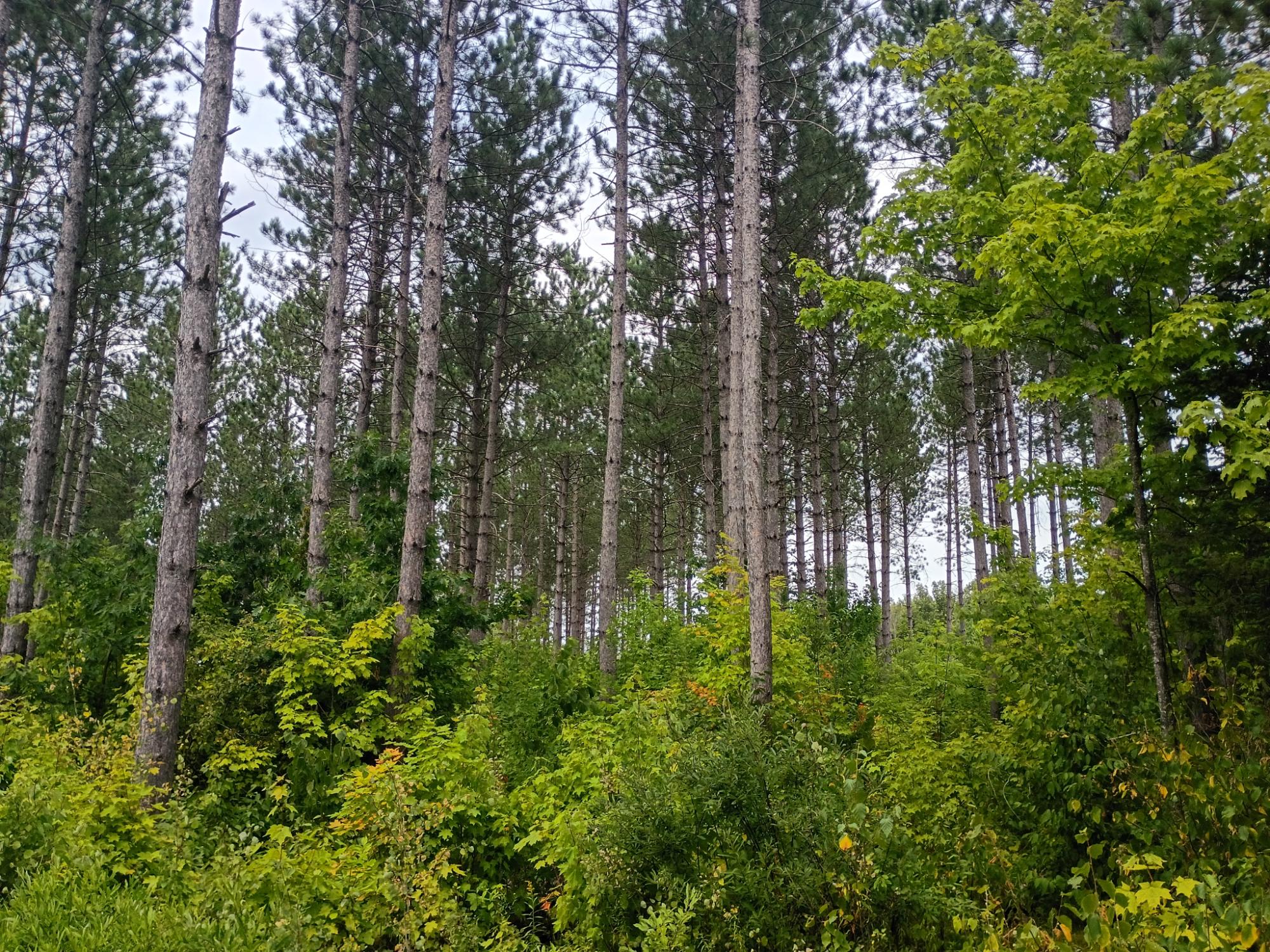 280 AC WEST RD
