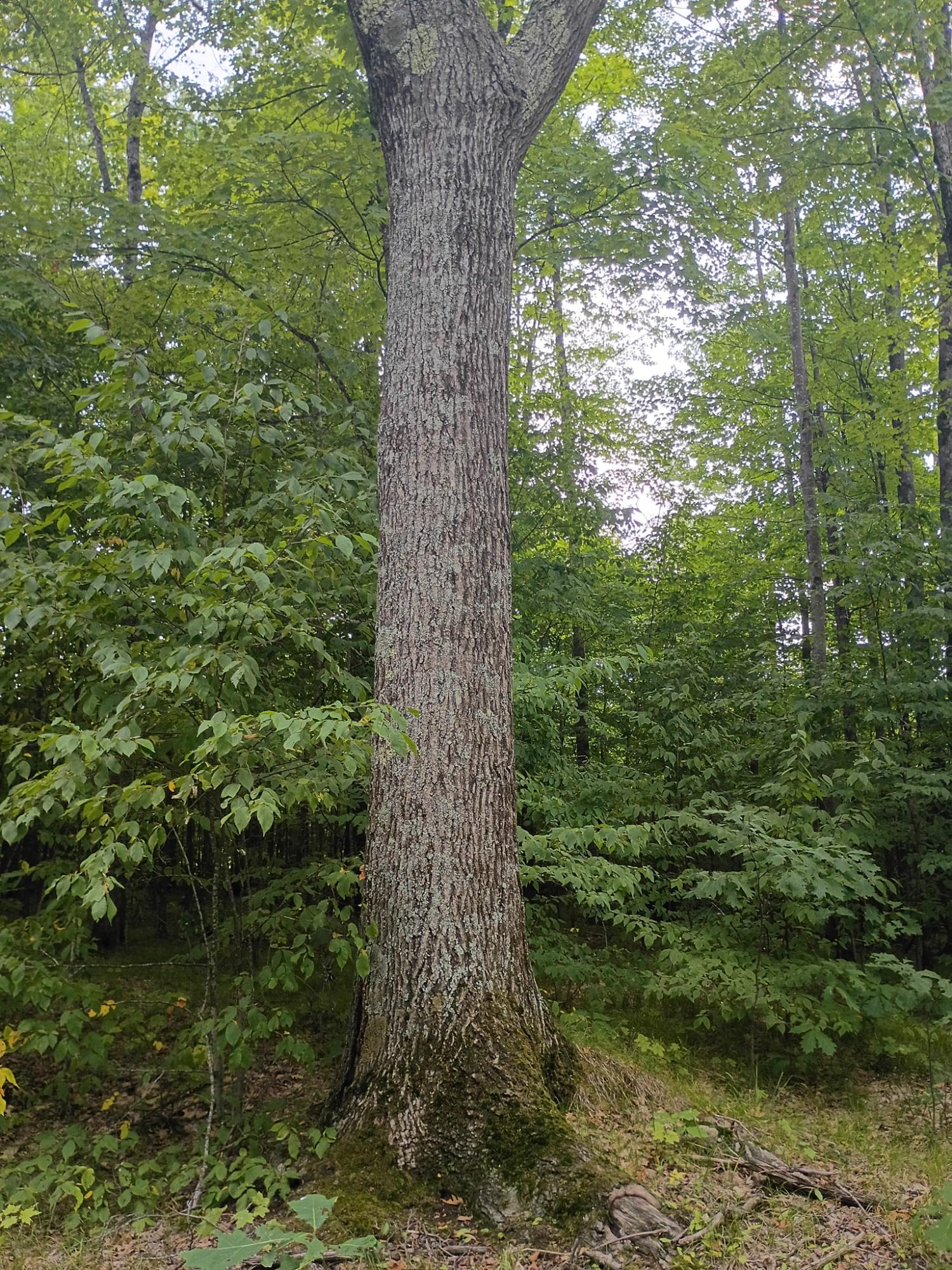 280 AC WEST RD