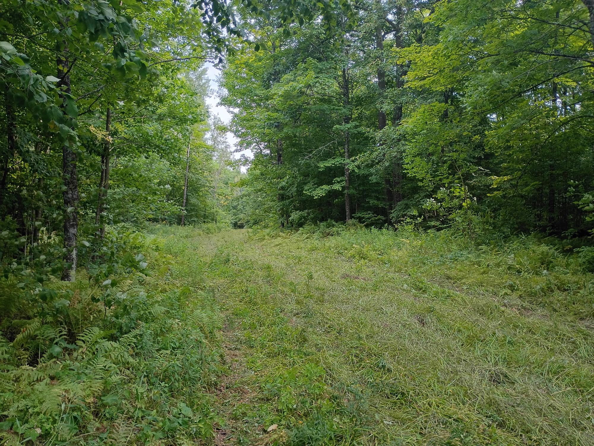280 AC WEST RD