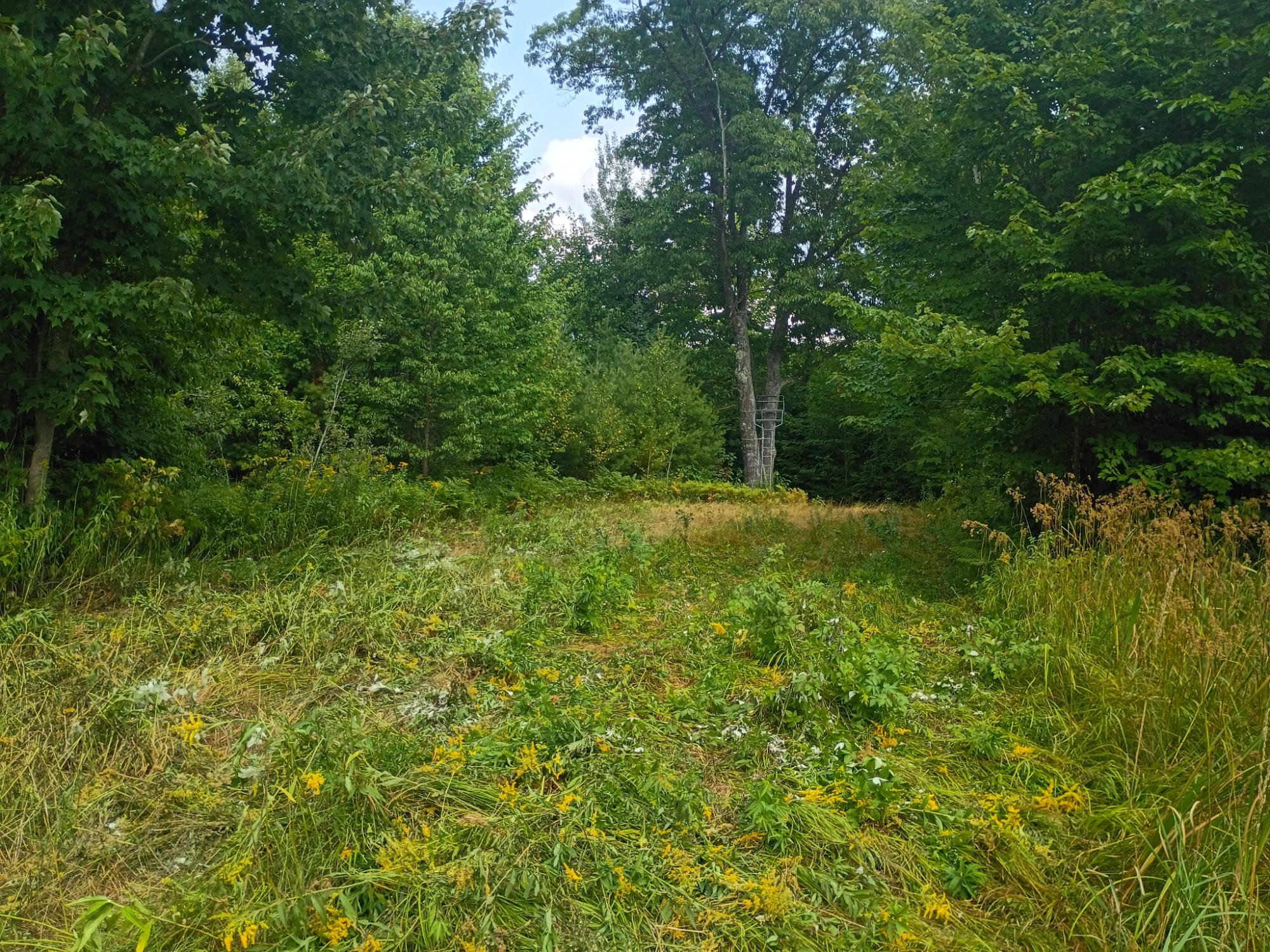 280 AC WEST RD