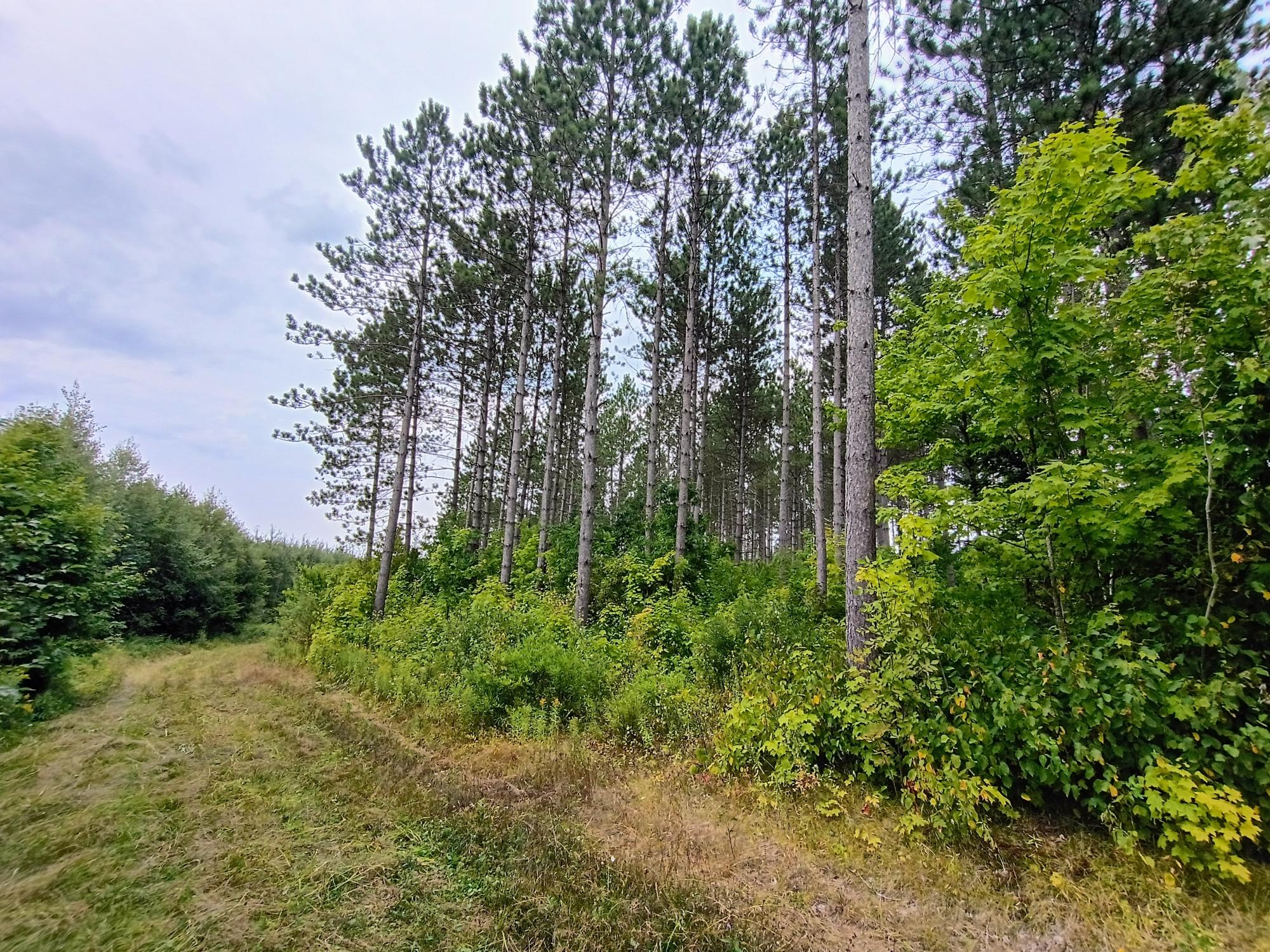 280 AC WEST RD