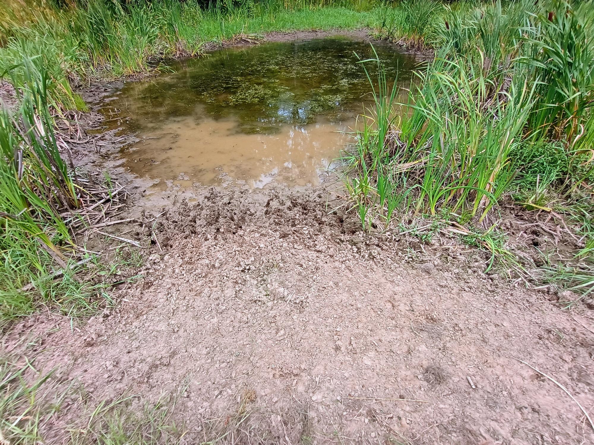 280 AC WEST RD