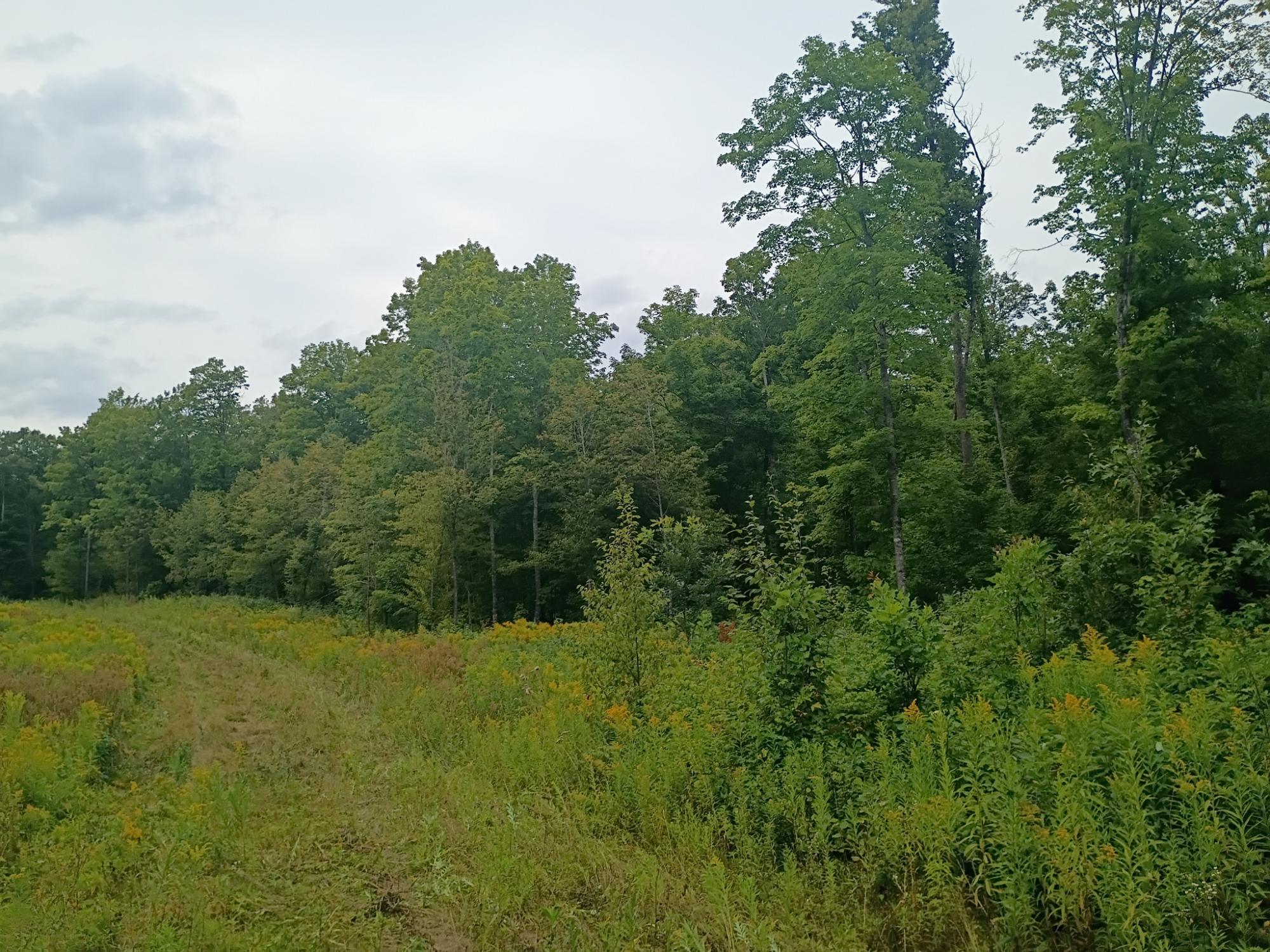 280 AC WEST RD