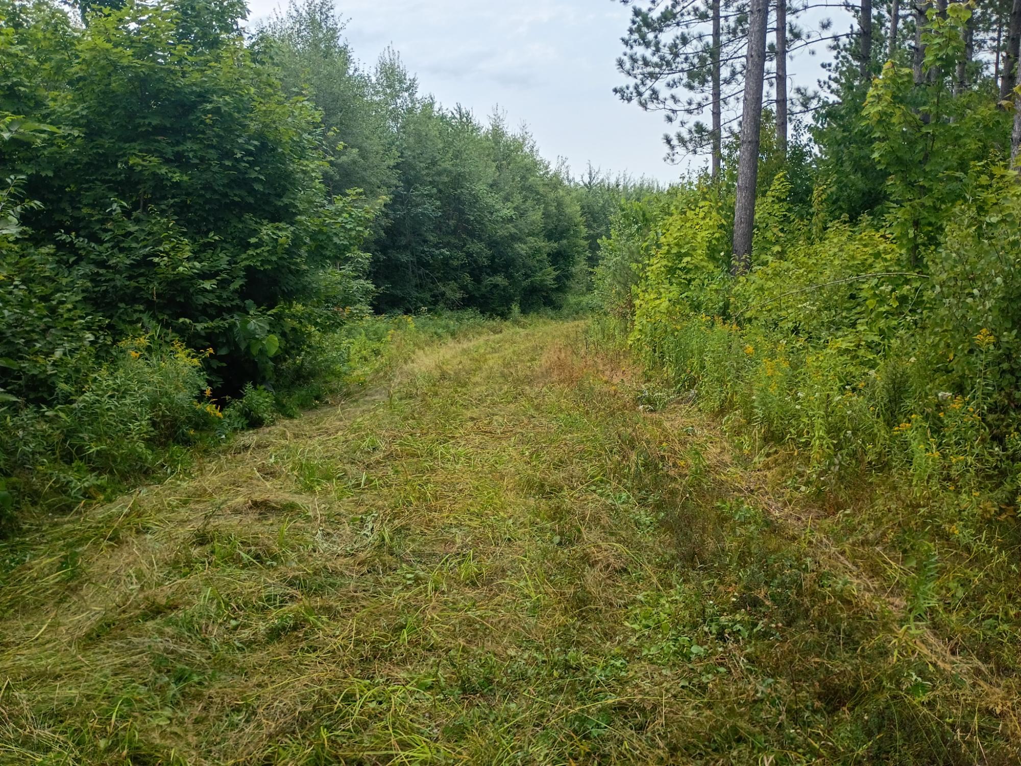 280 AC WEST RD