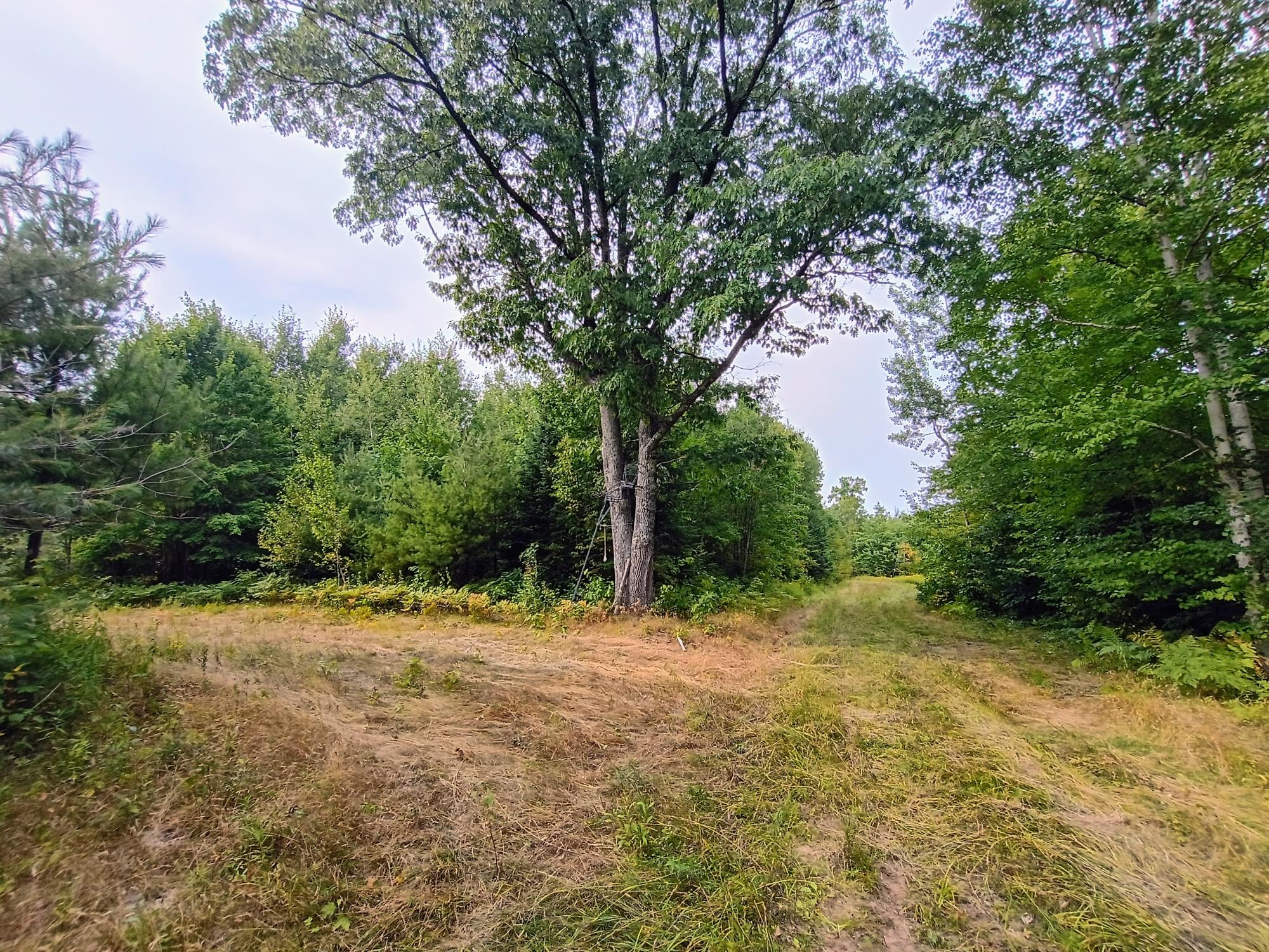 280 AC WEST RD