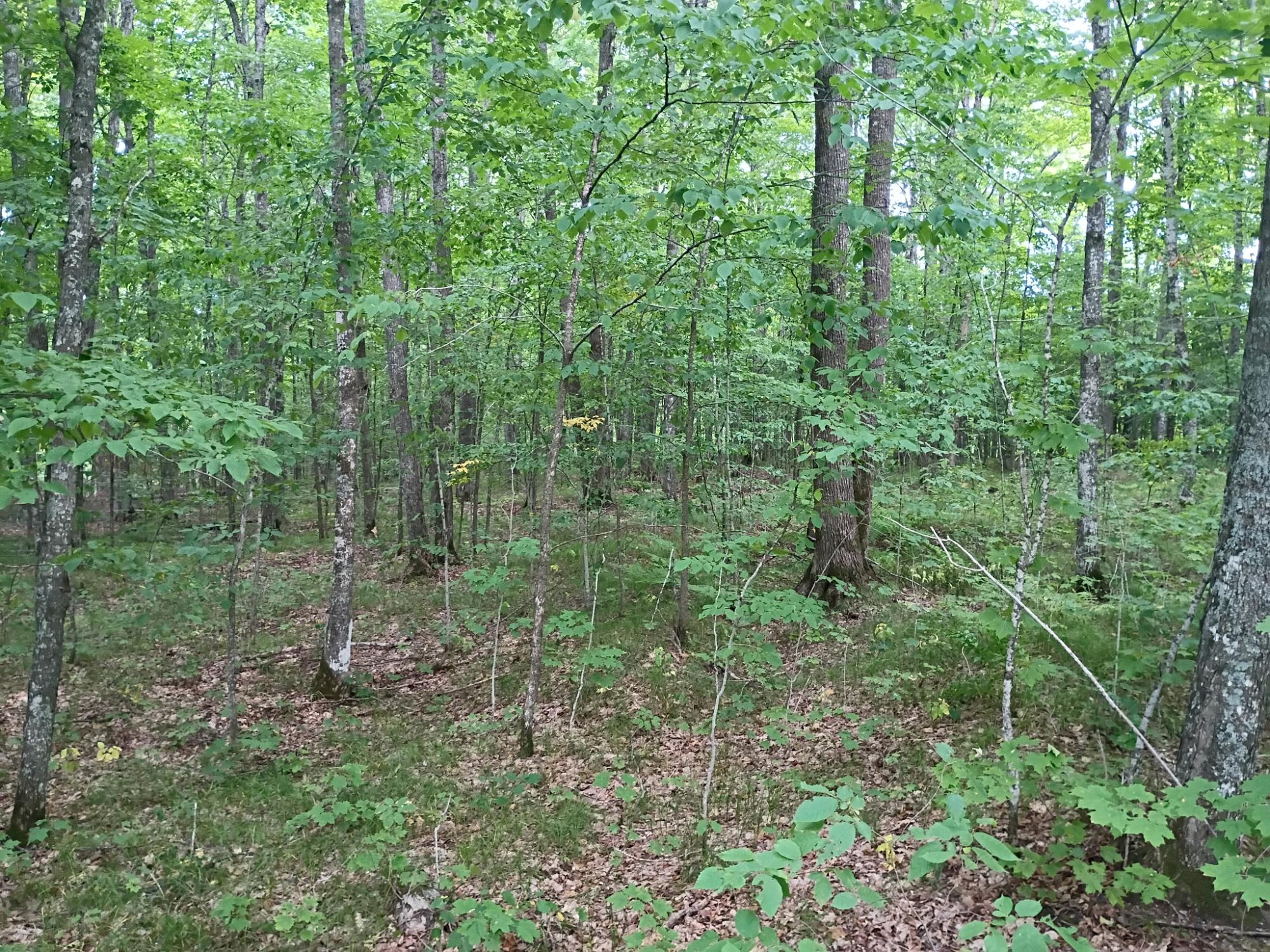 280 AC WEST RD
