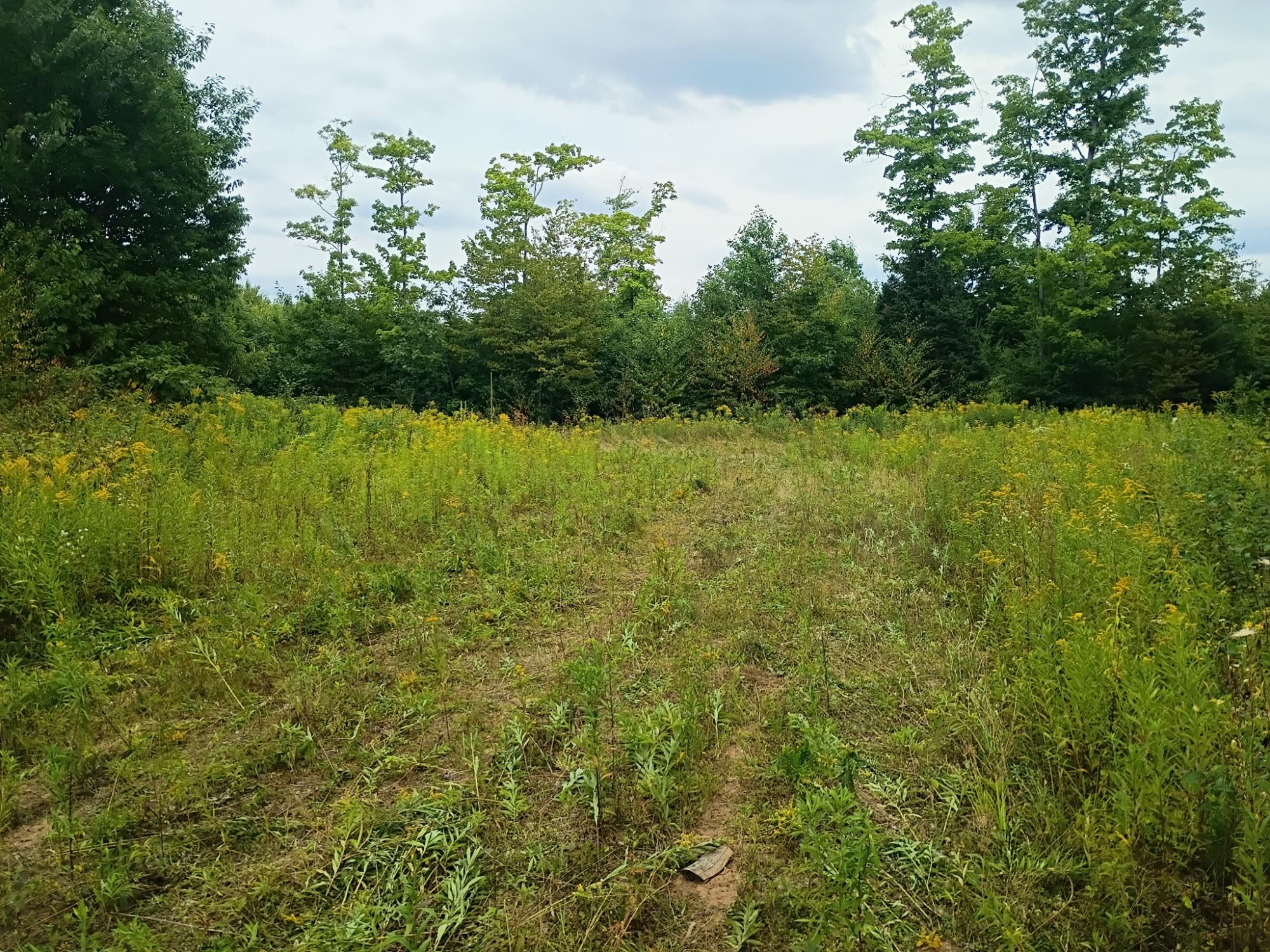 280 AC WEST RD