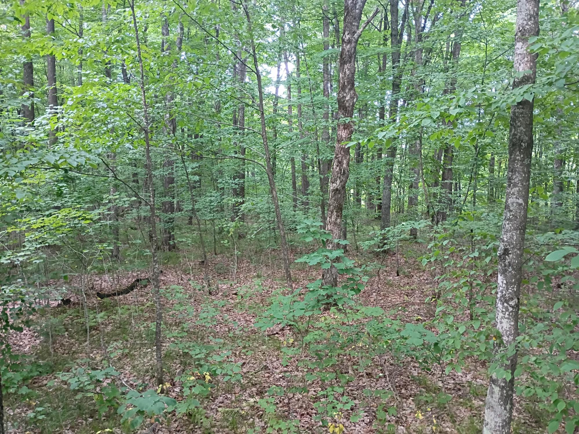 280 AC WEST RD
