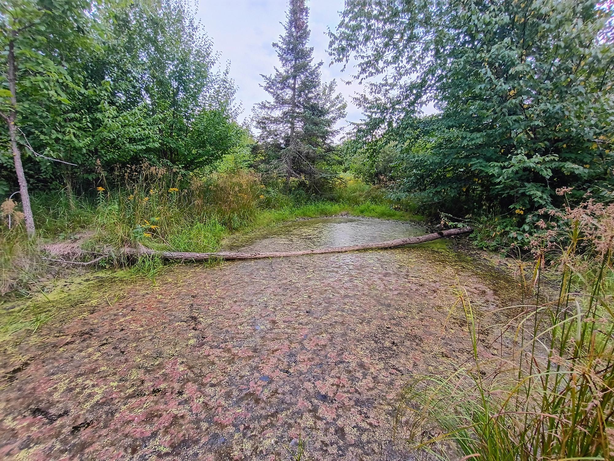 280 AC WEST RD