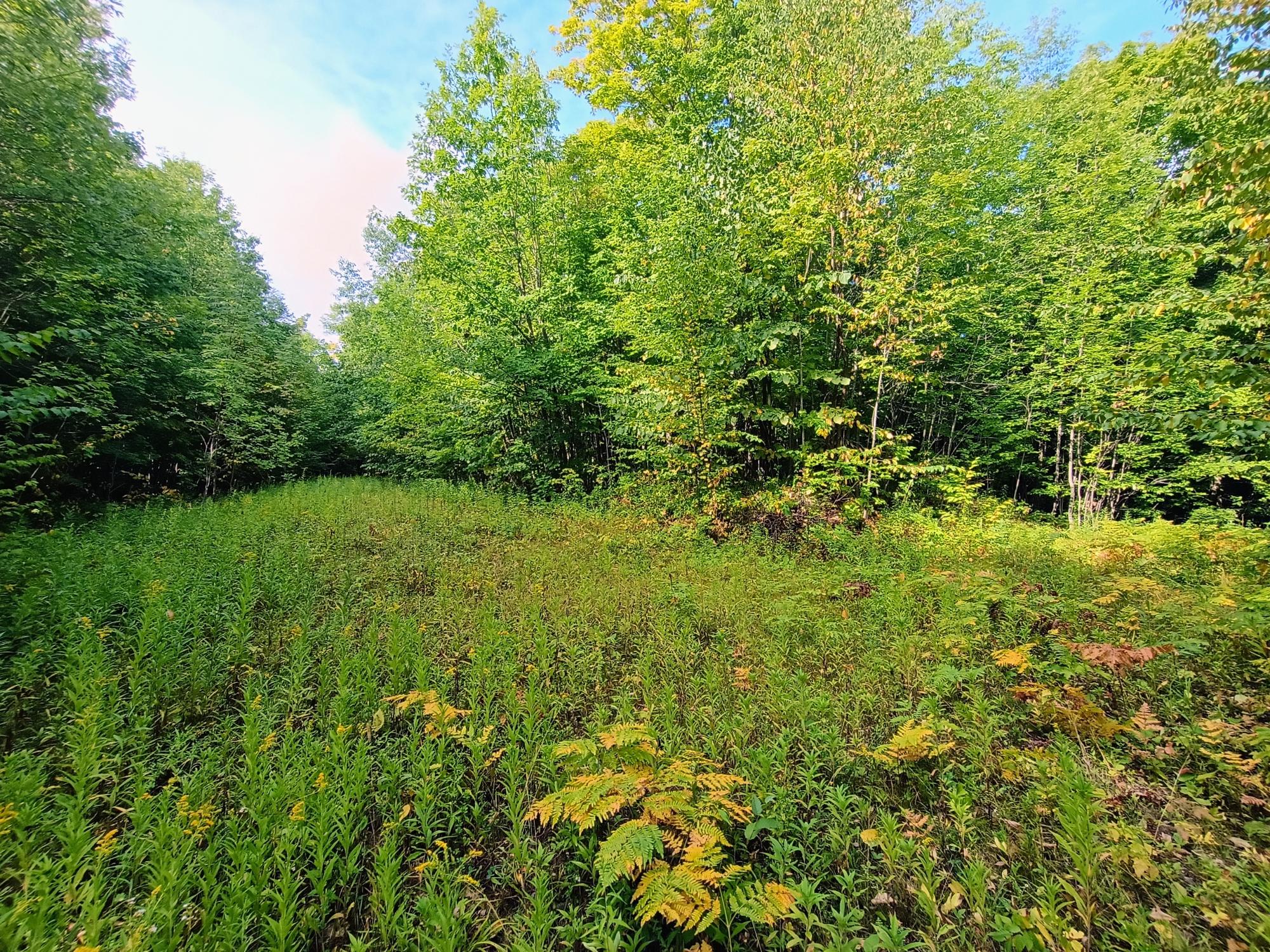 283.12ac VALLEY RD