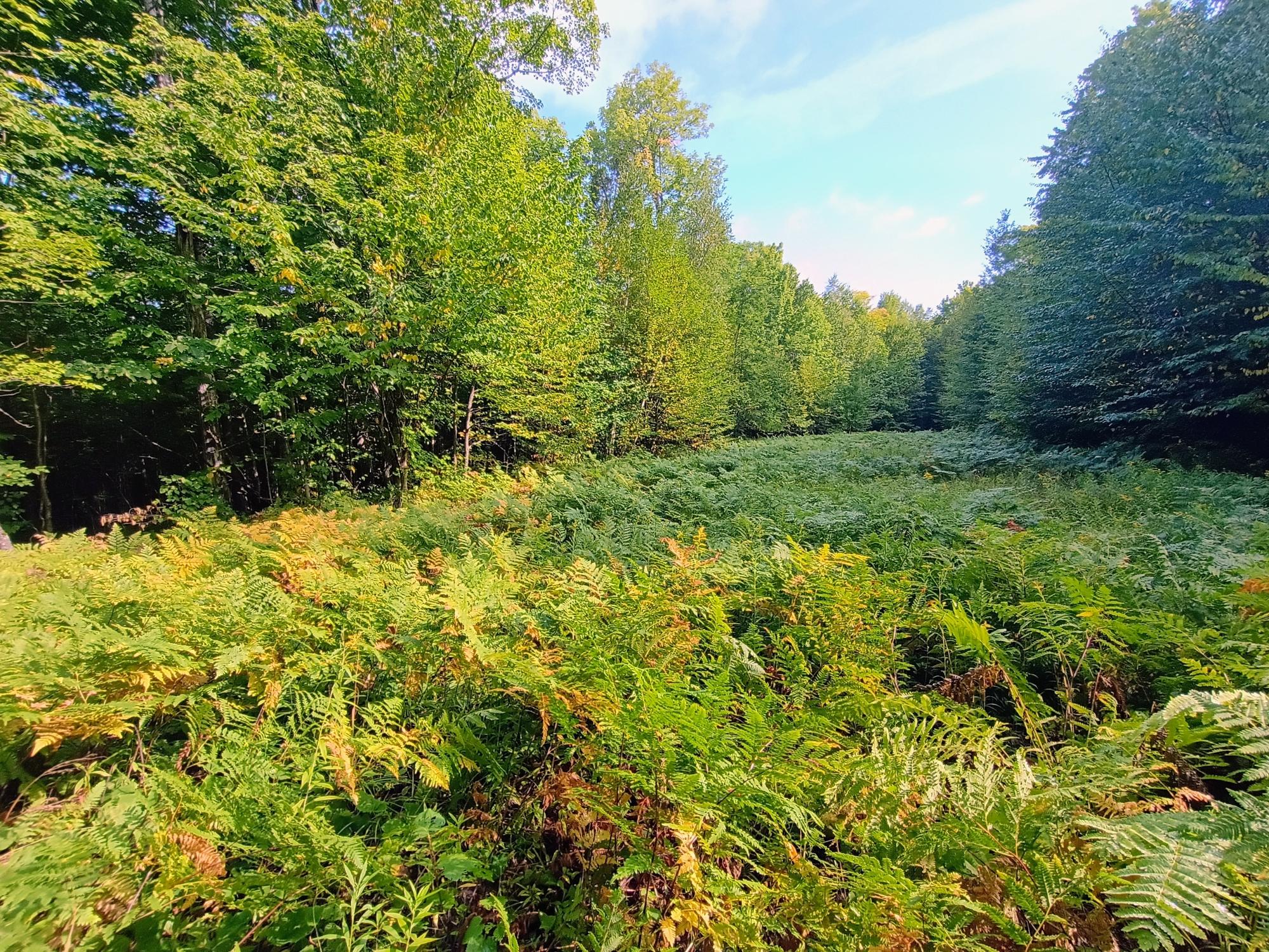 283.12ac VALLEY RD