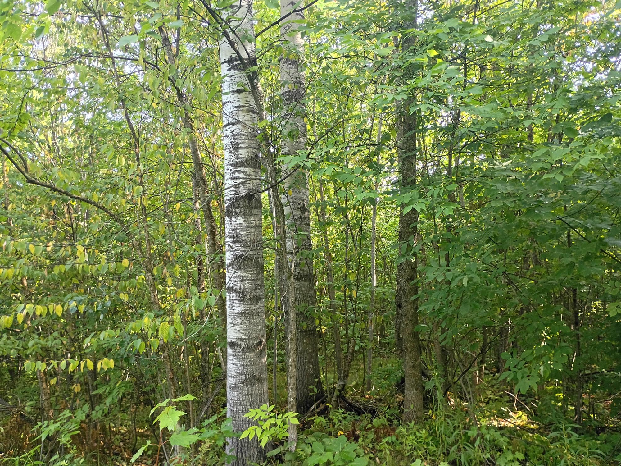 283.12ac VALLEY RD