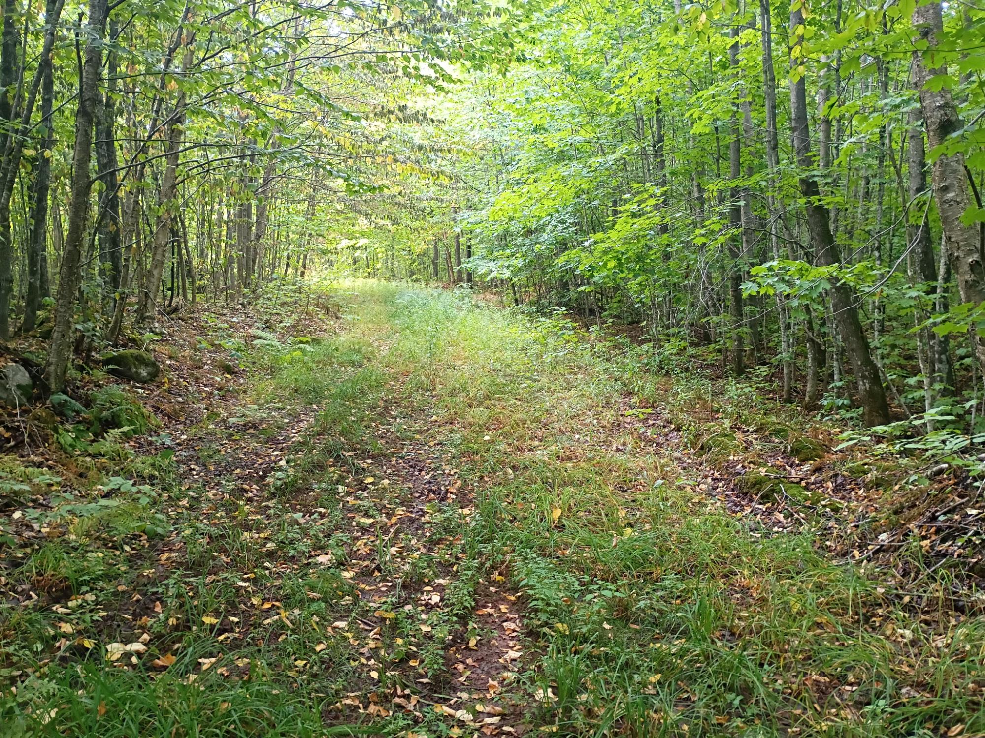 283.12ac VALLEY RD