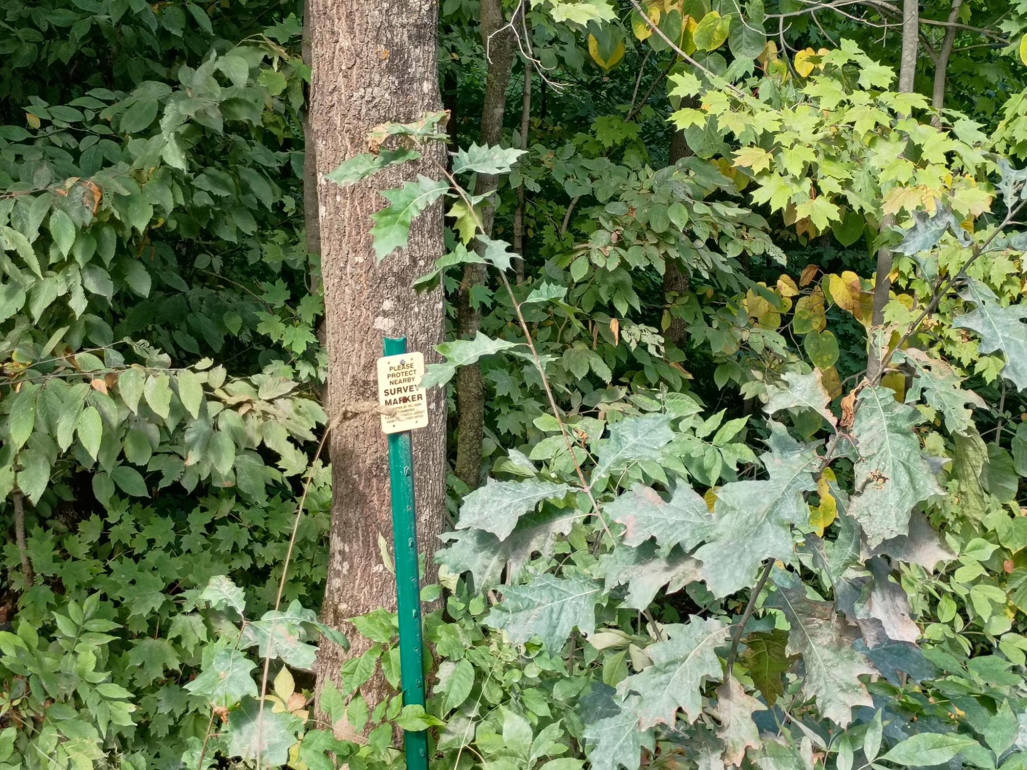 283.12ac VALLEY RD