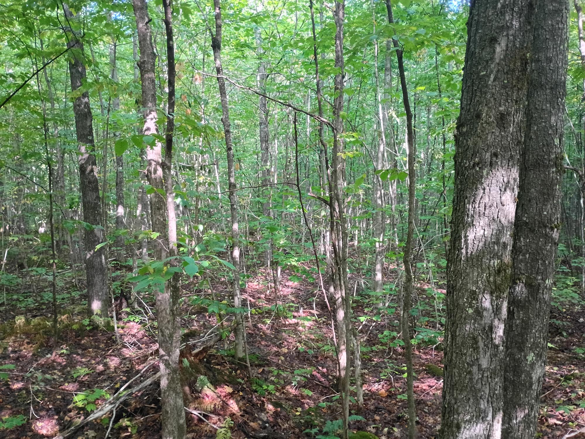 283.12ac VALLEY RD