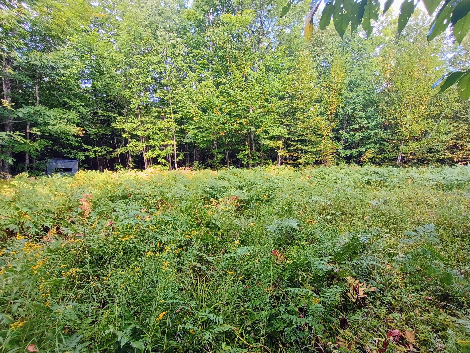 283.12ac VALLEY RD
