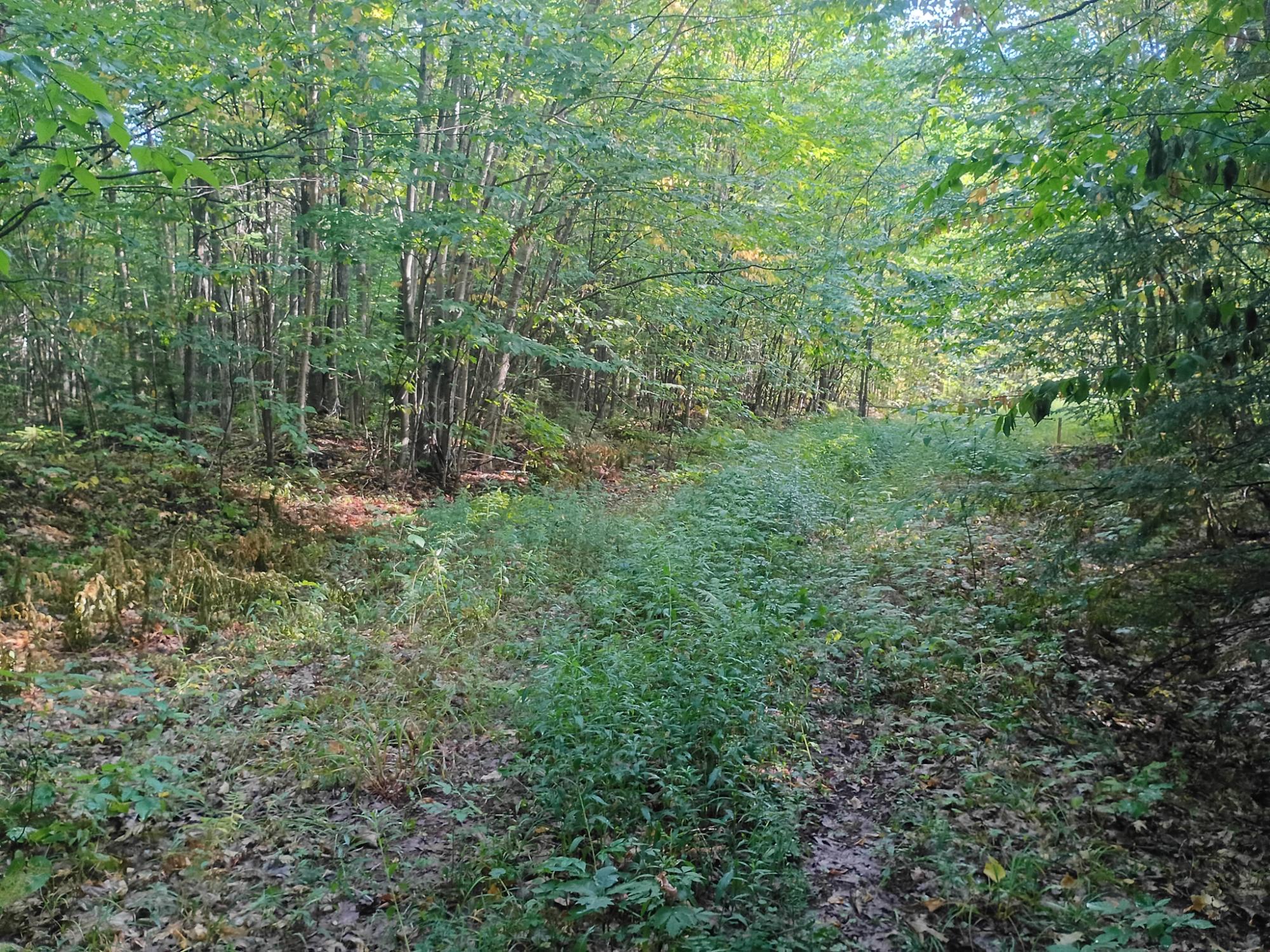 283.12ac VALLEY RD