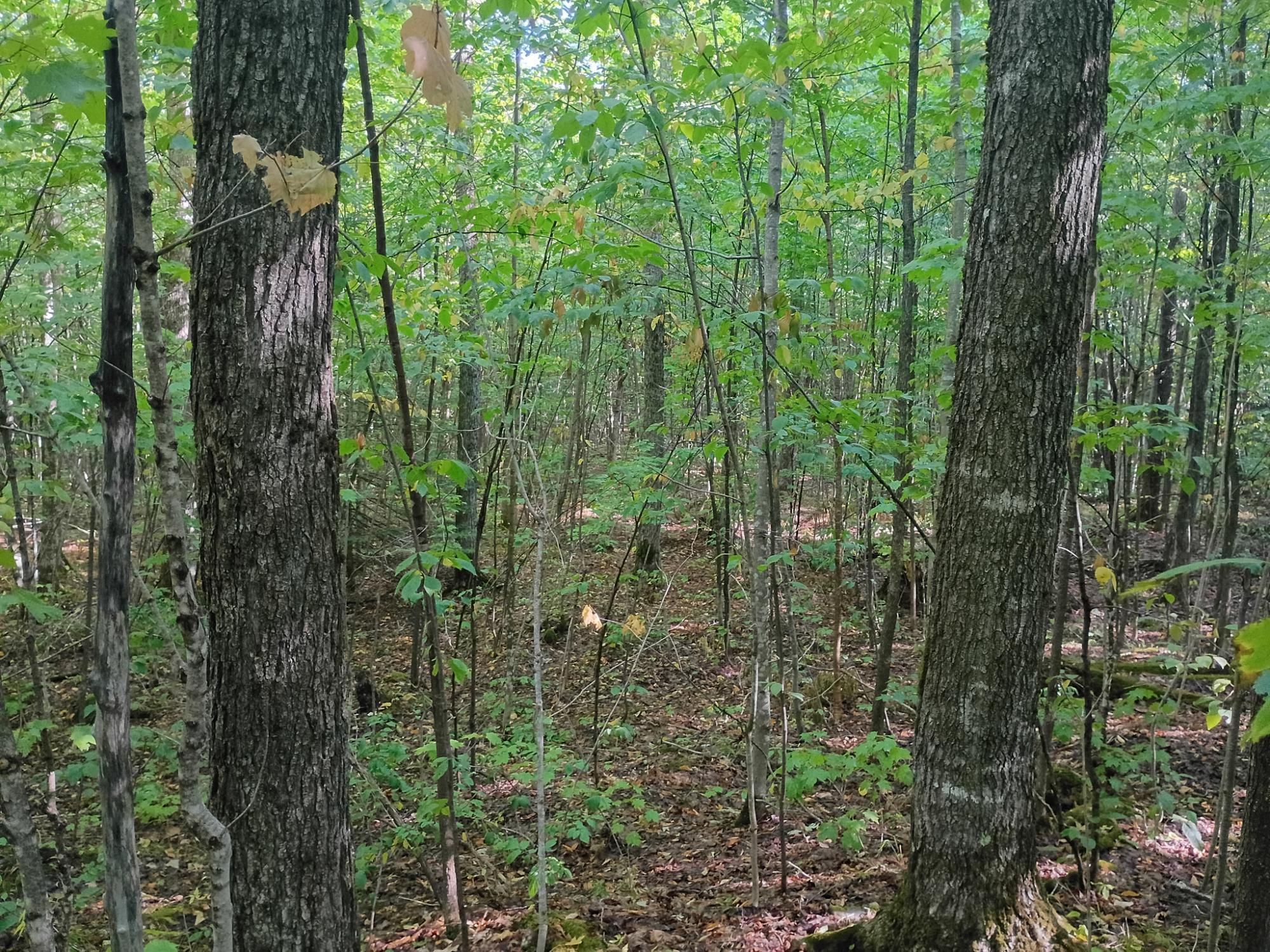 283.12ac VALLEY RD