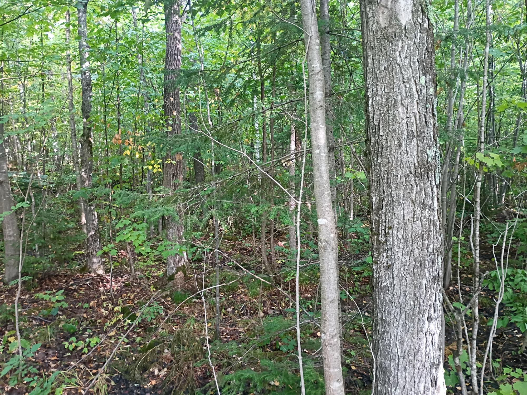 283.12ac VALLEY RD