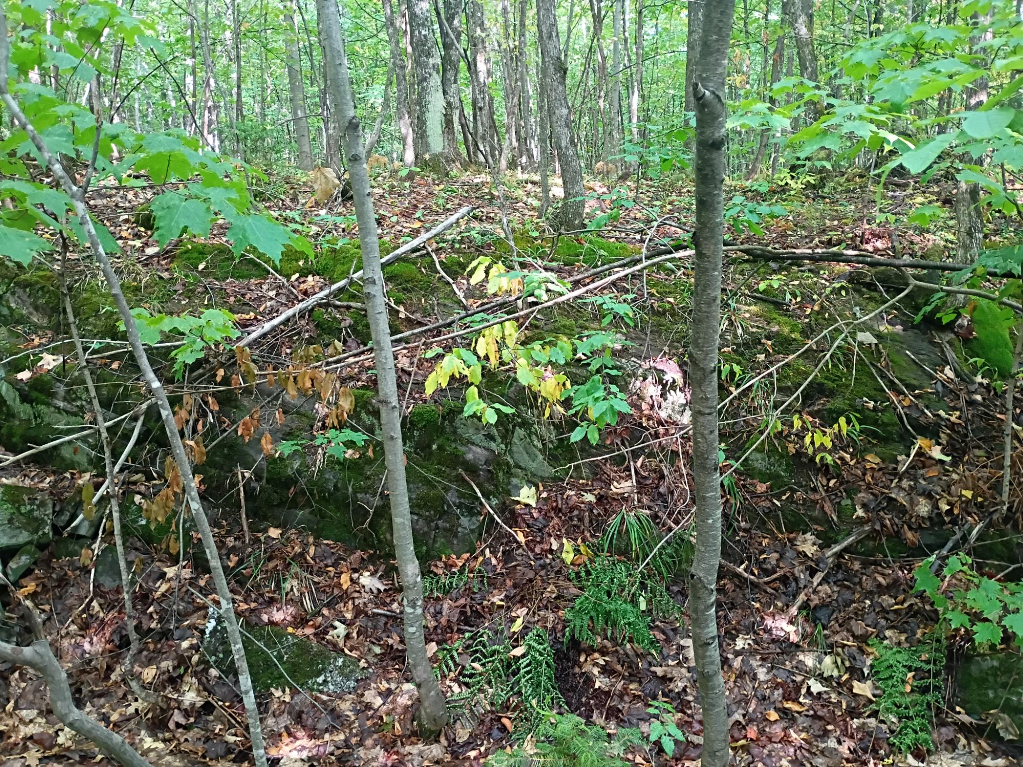 283.12ac VALLEY RD