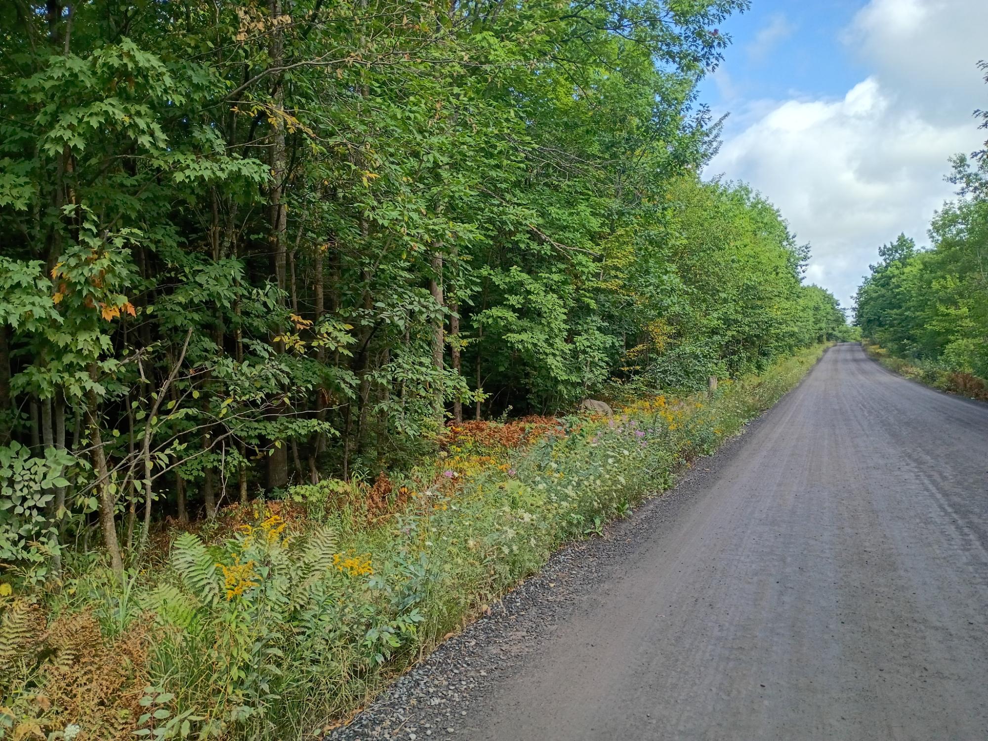283.12ac VALLEY RD
