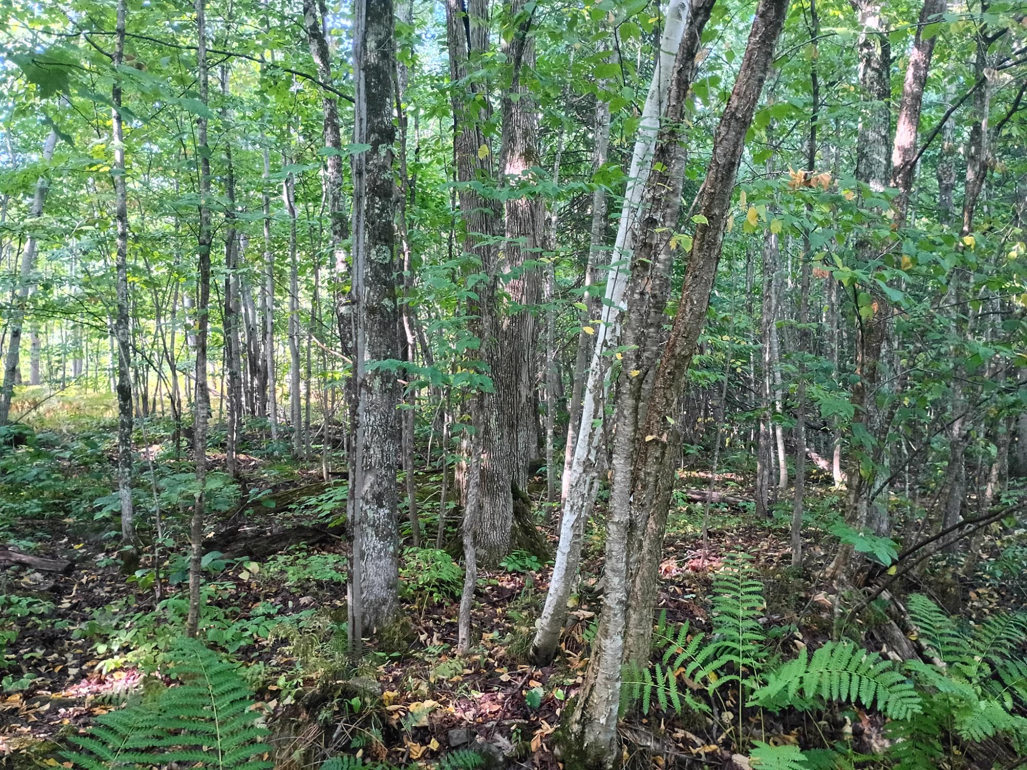 283.12ac VALLEY RD