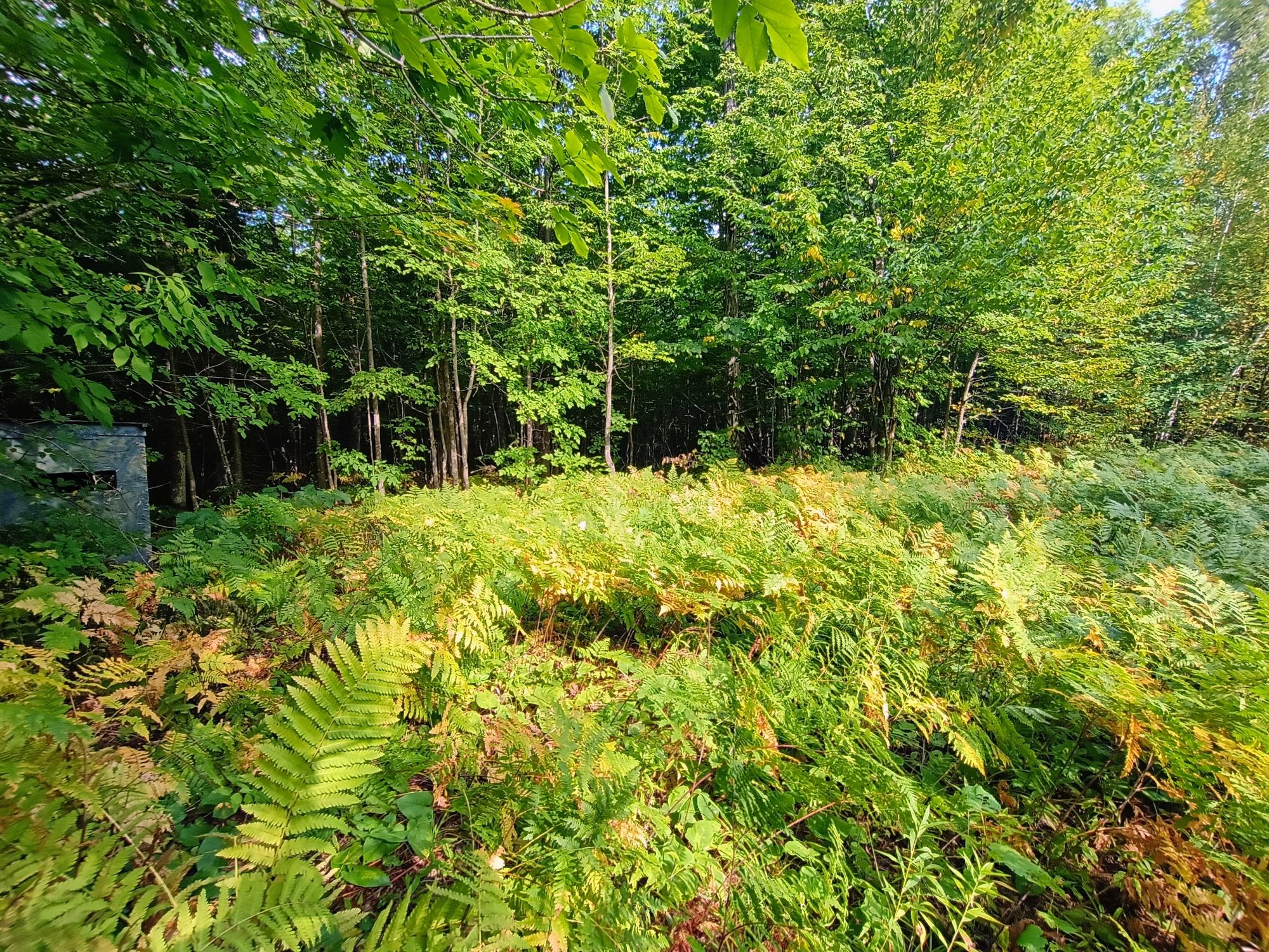 283.12ac VALLEY RD