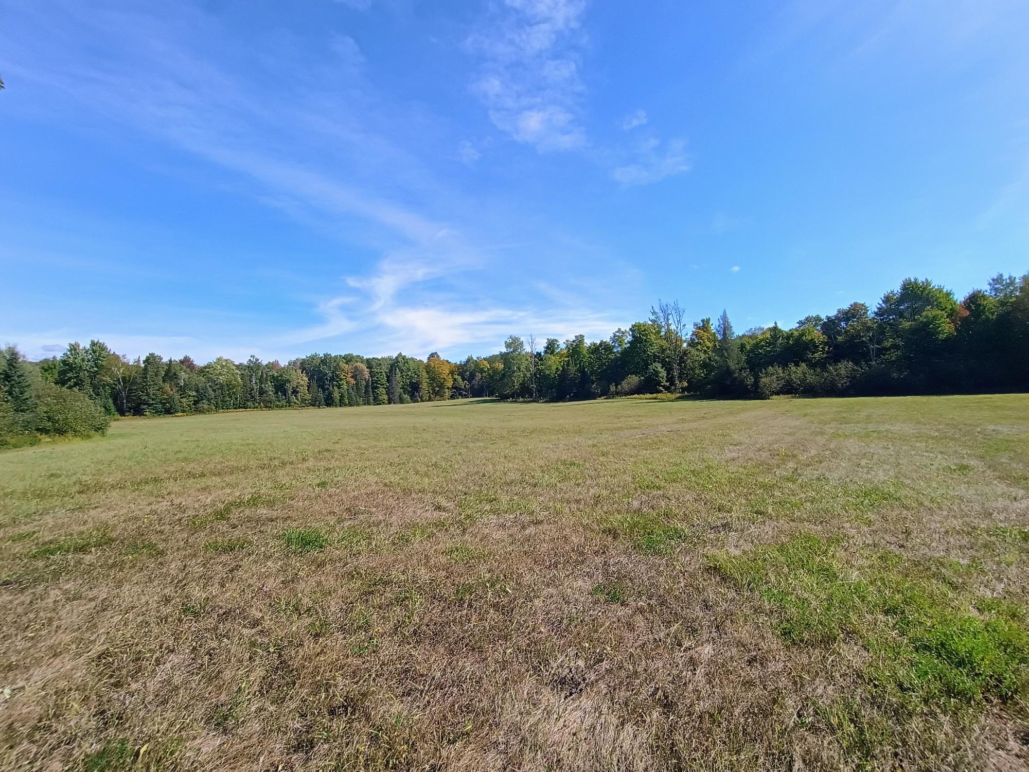 40ac On WAGNER VOGT RD