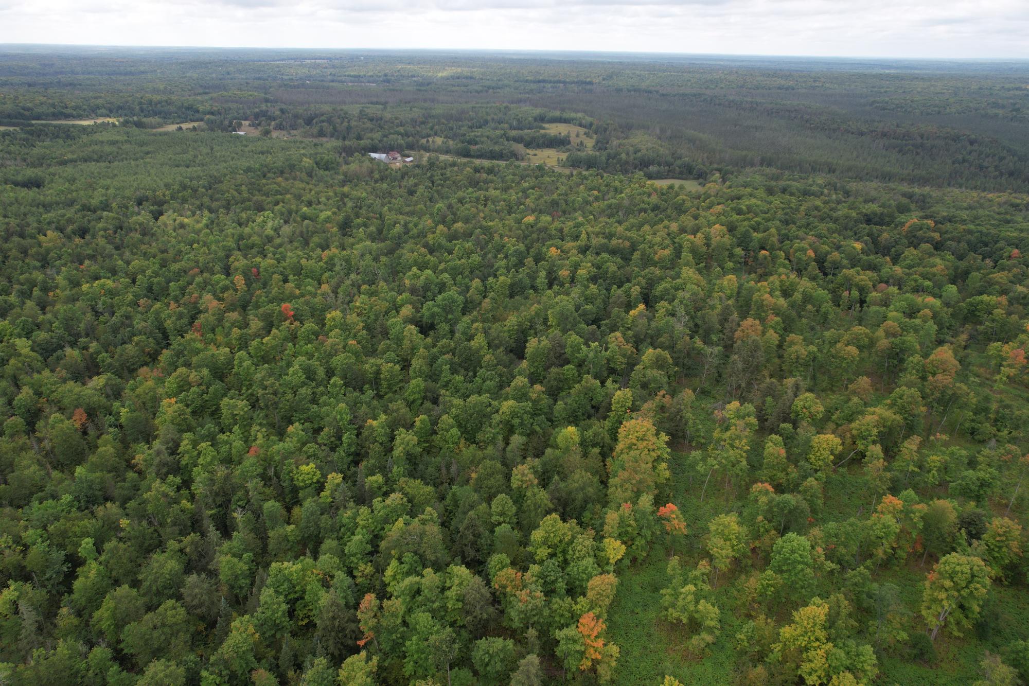40ac On WAGNER VOGT RD