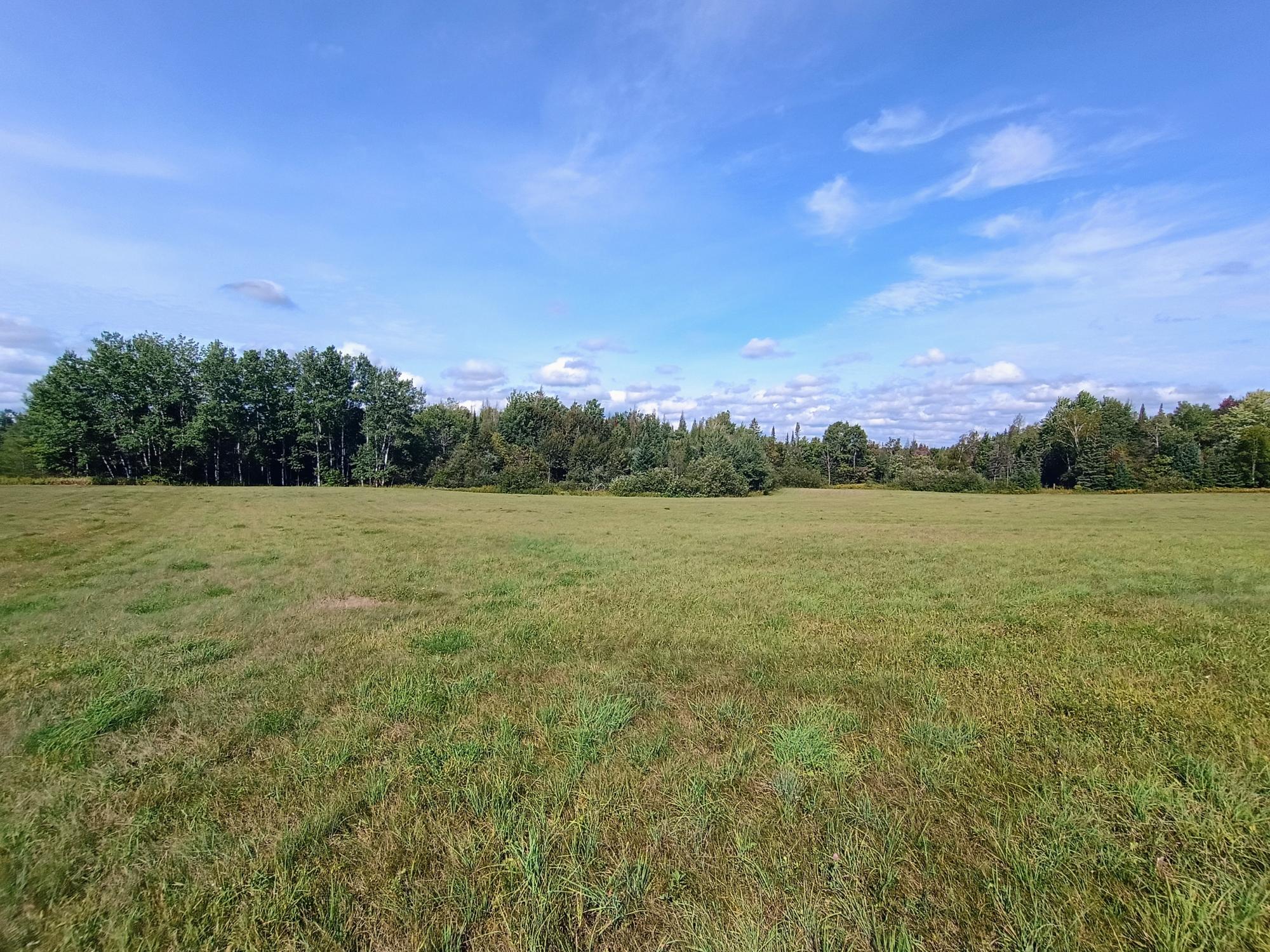 40ac On WAGNER VOGT RD