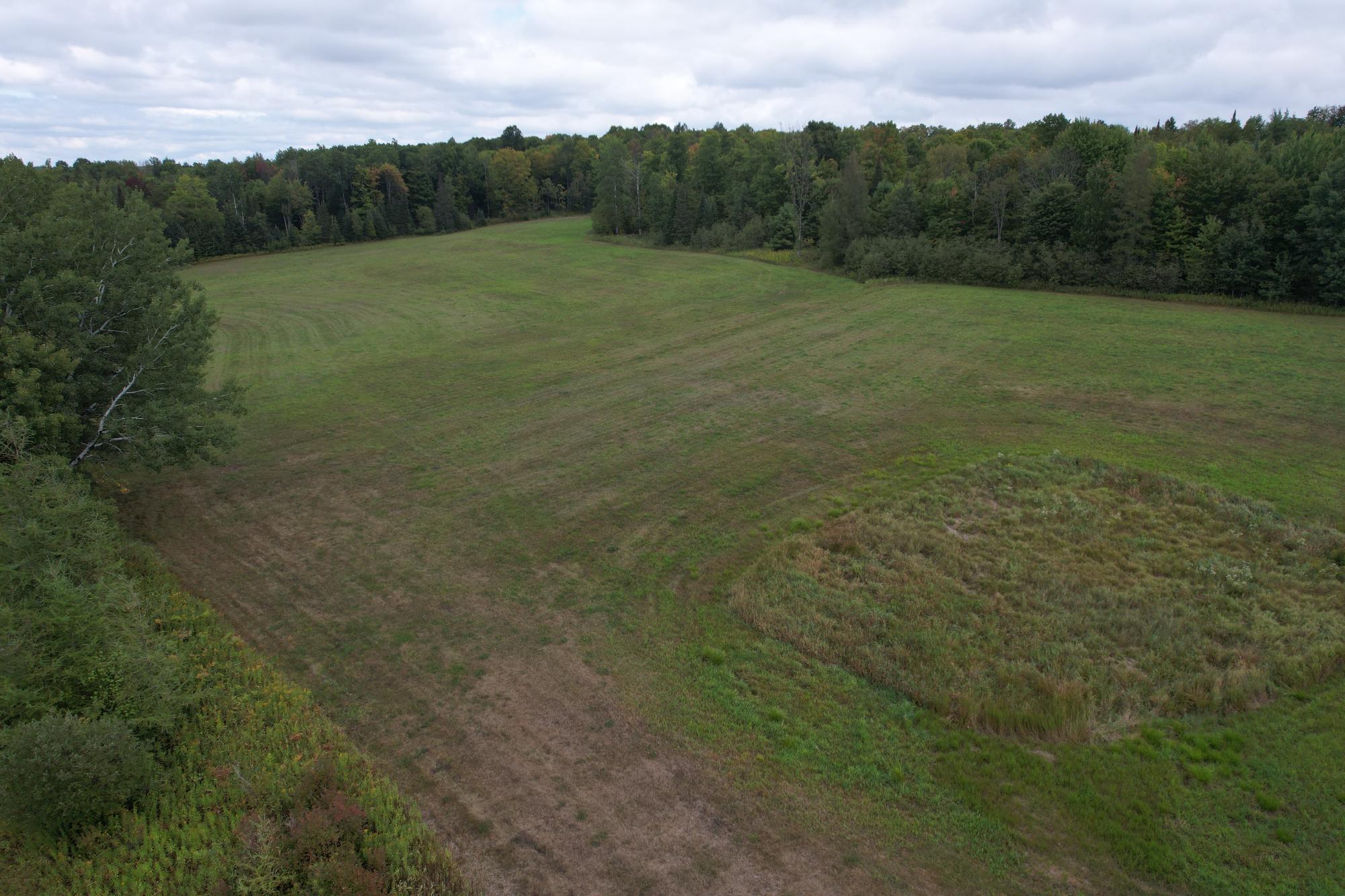 40ac On WAGNER VOGT RD