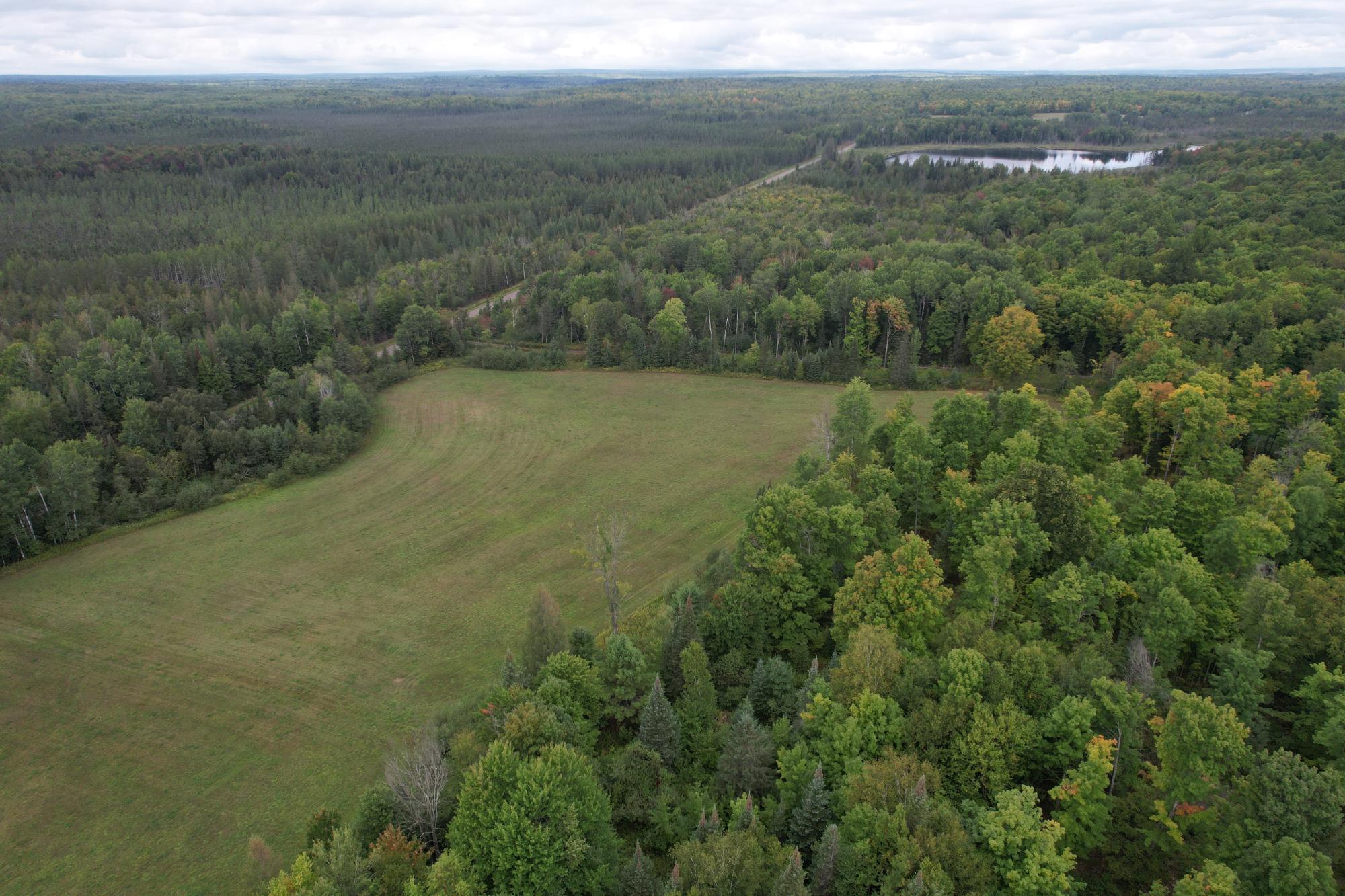 40ac On WAGNER VOGT RD