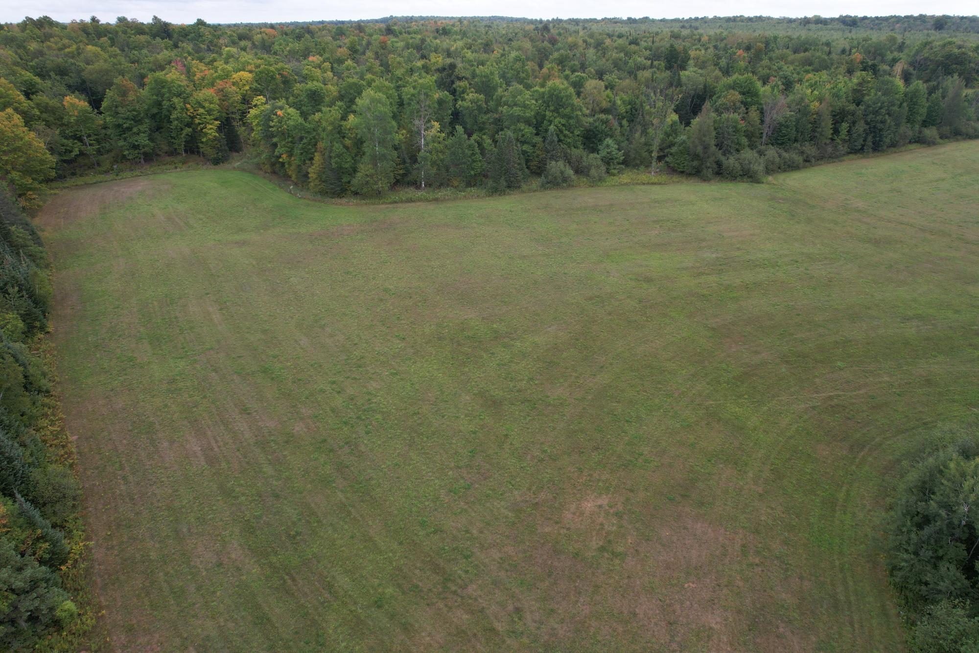 40ac On WAGNER VOGT RD