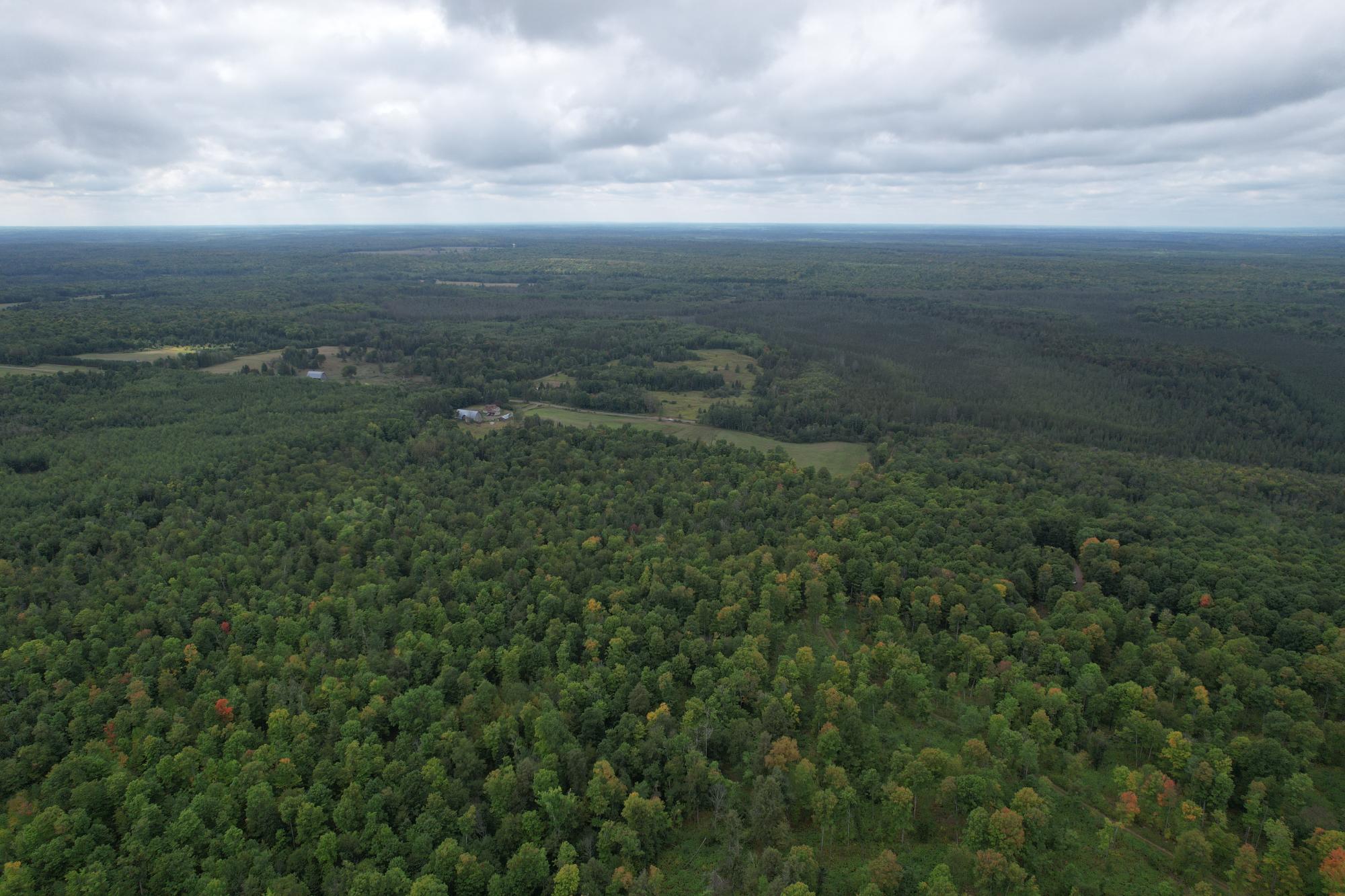 40ac On WAGNER VOGT RD