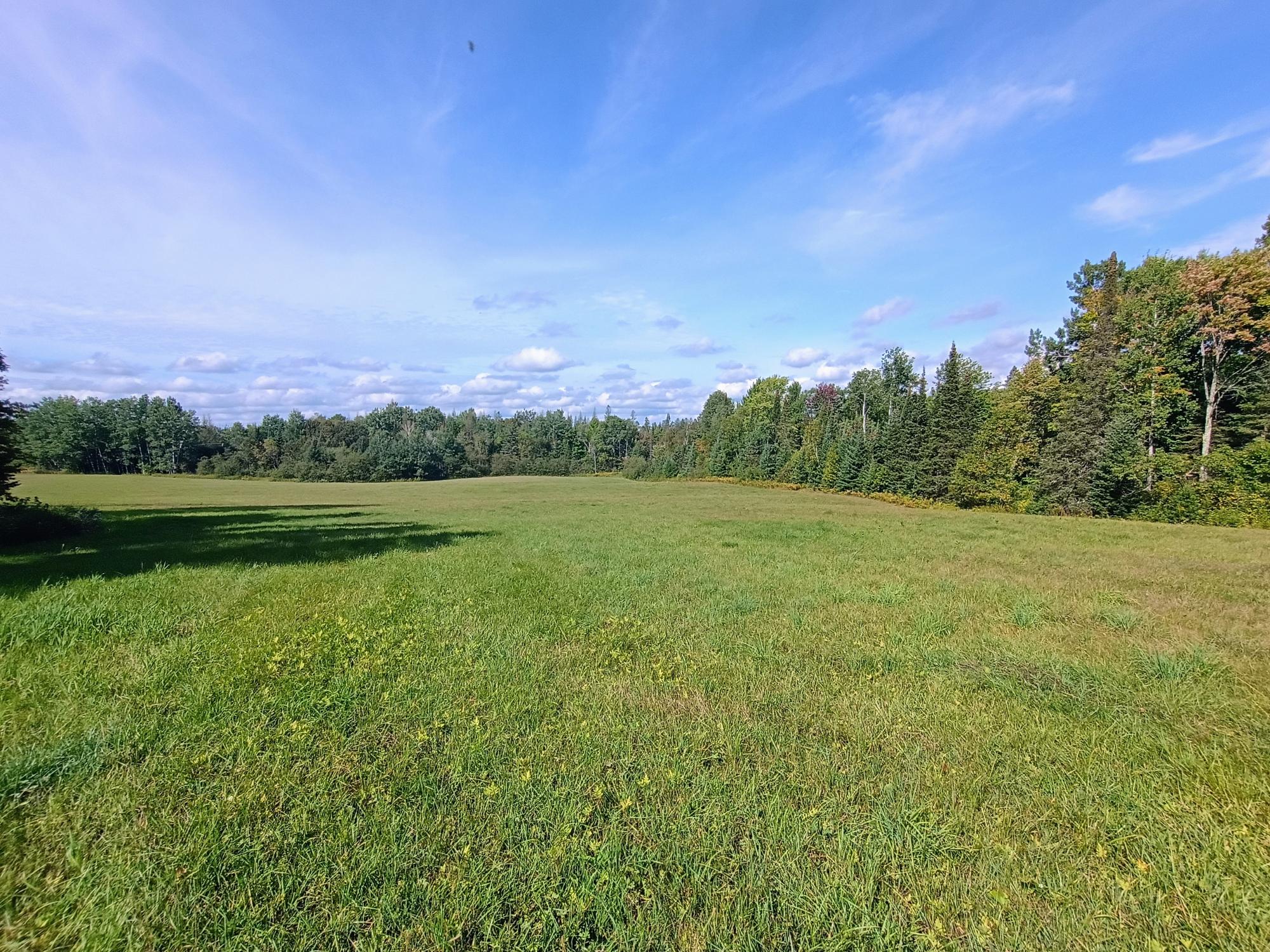 40ac On WAGNER VOGT RD