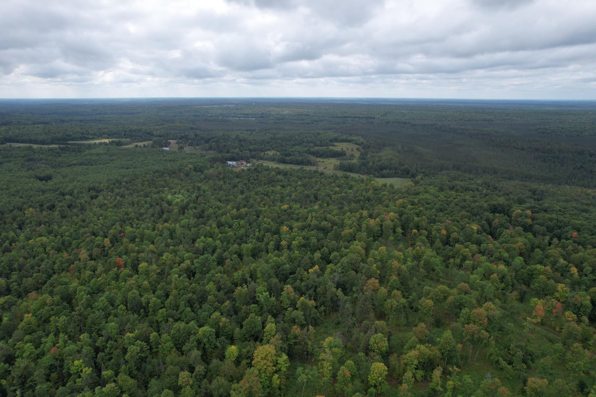 40ac On WAGNER VOGT RD
