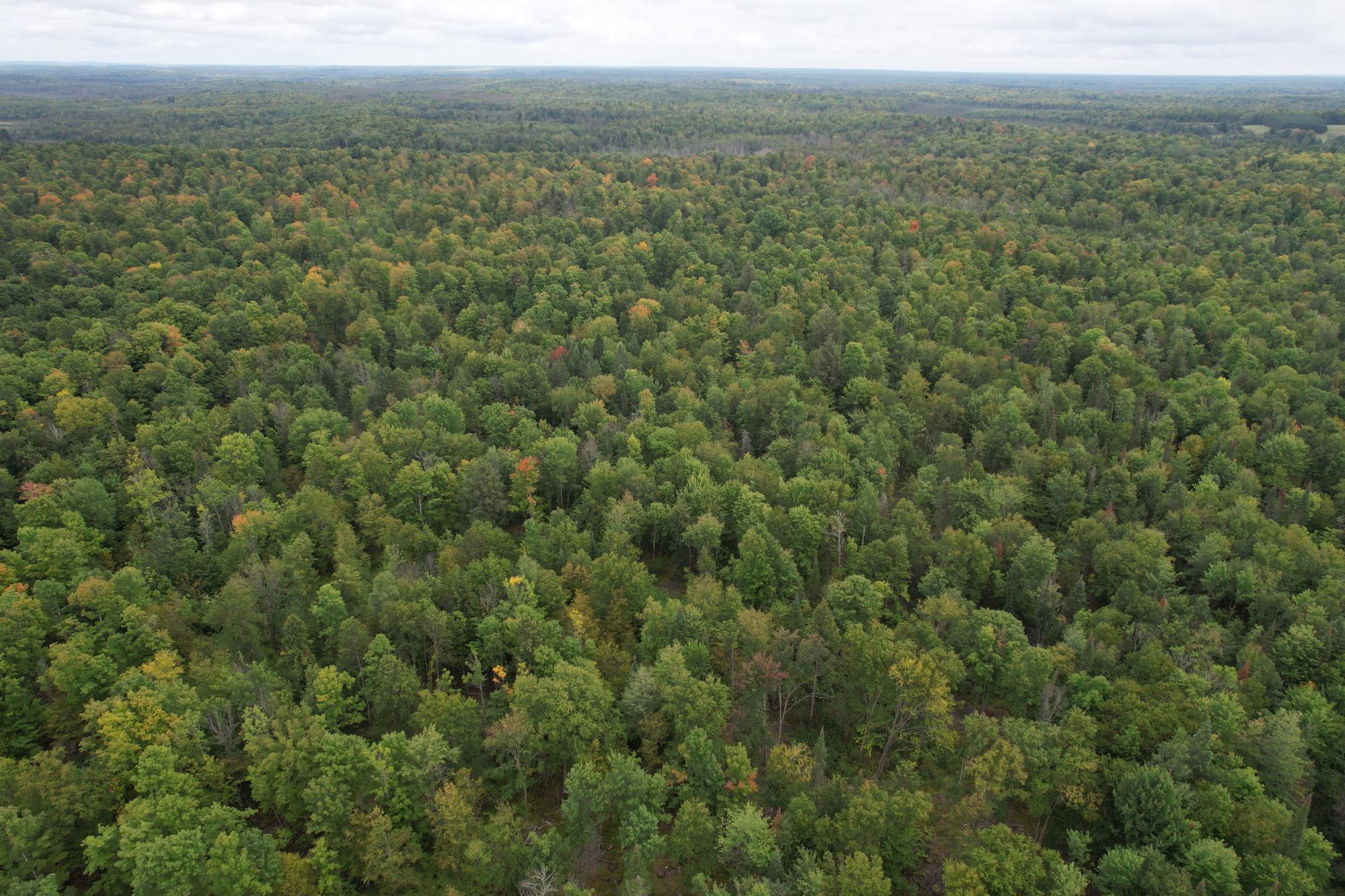 40ac On WAGNER VOGT RD