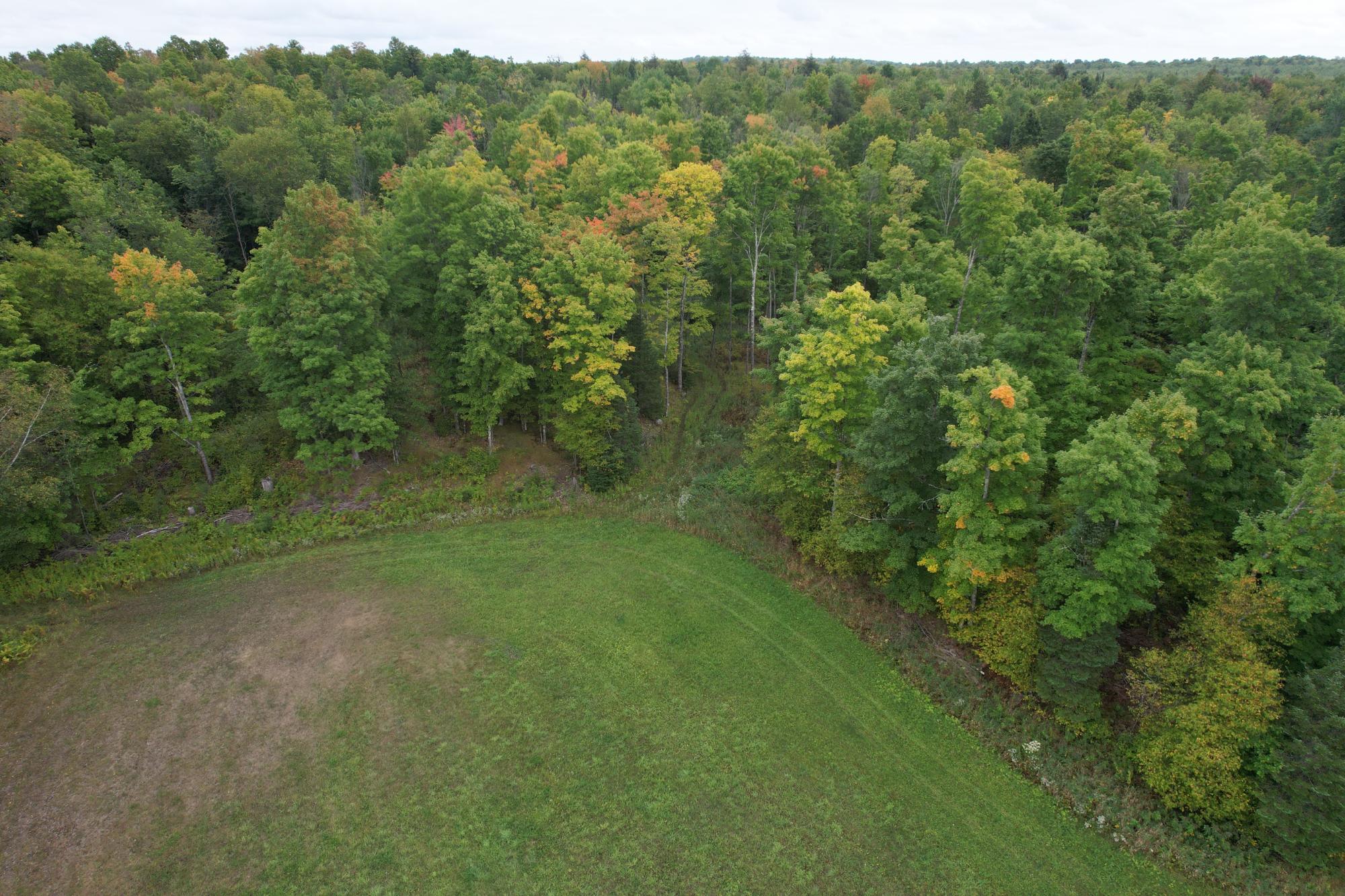 40ac On WAGNER VOGT RD