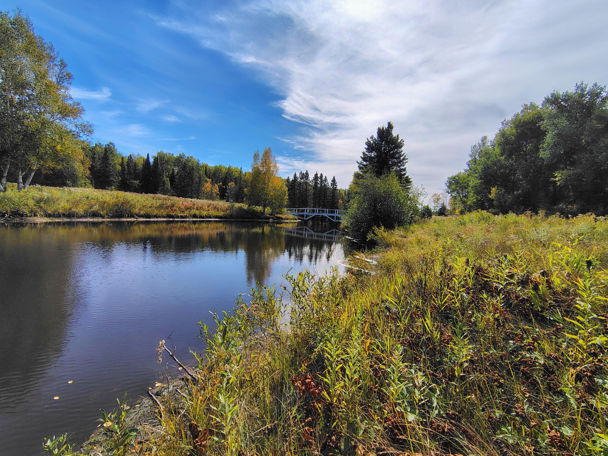 Wooded pond edged with autumn grasses, with a small footbridge across the water.