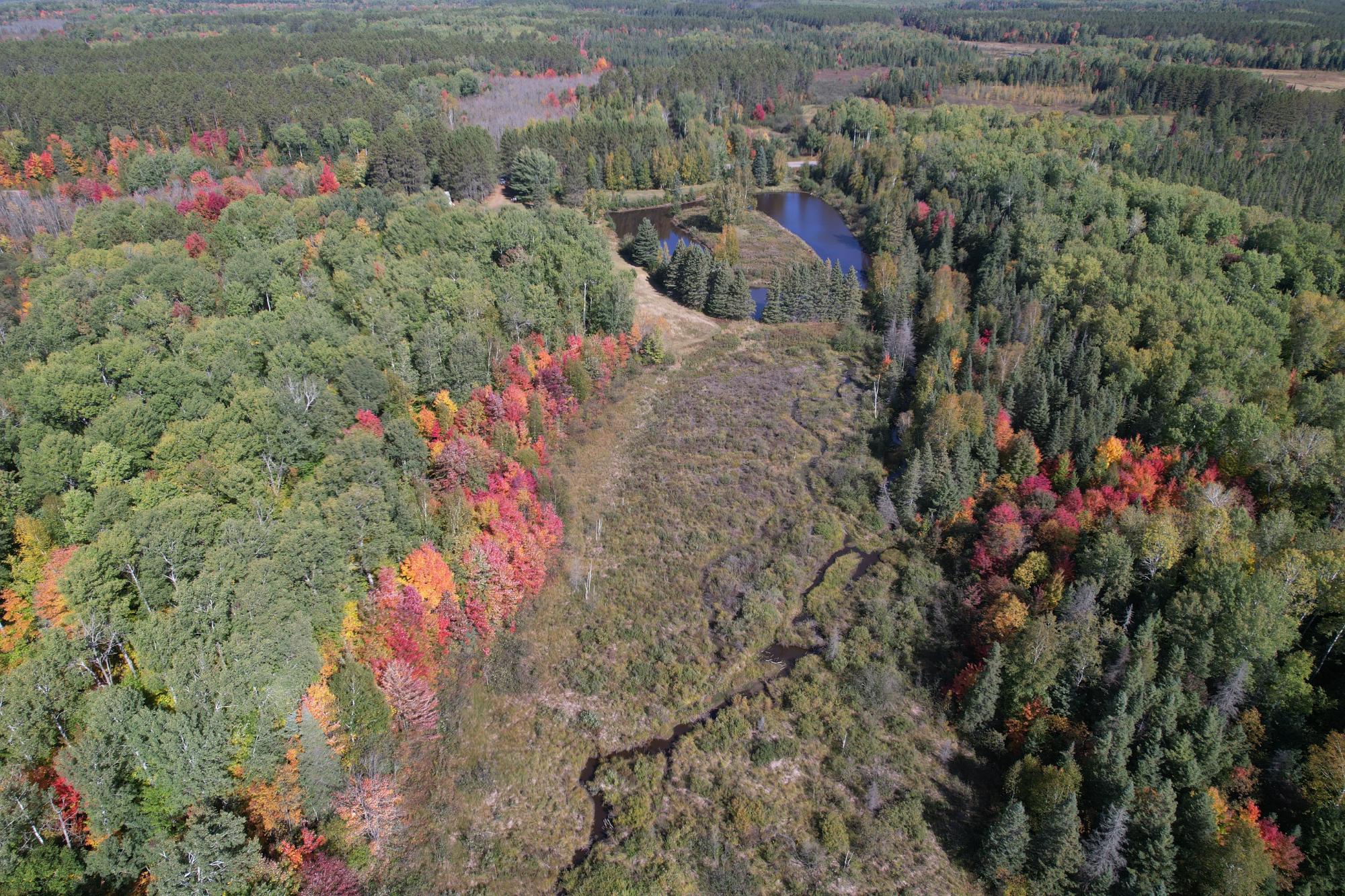 Aerial view of a marshy clearing with a winding stream, pond, and colorful autumn forest.