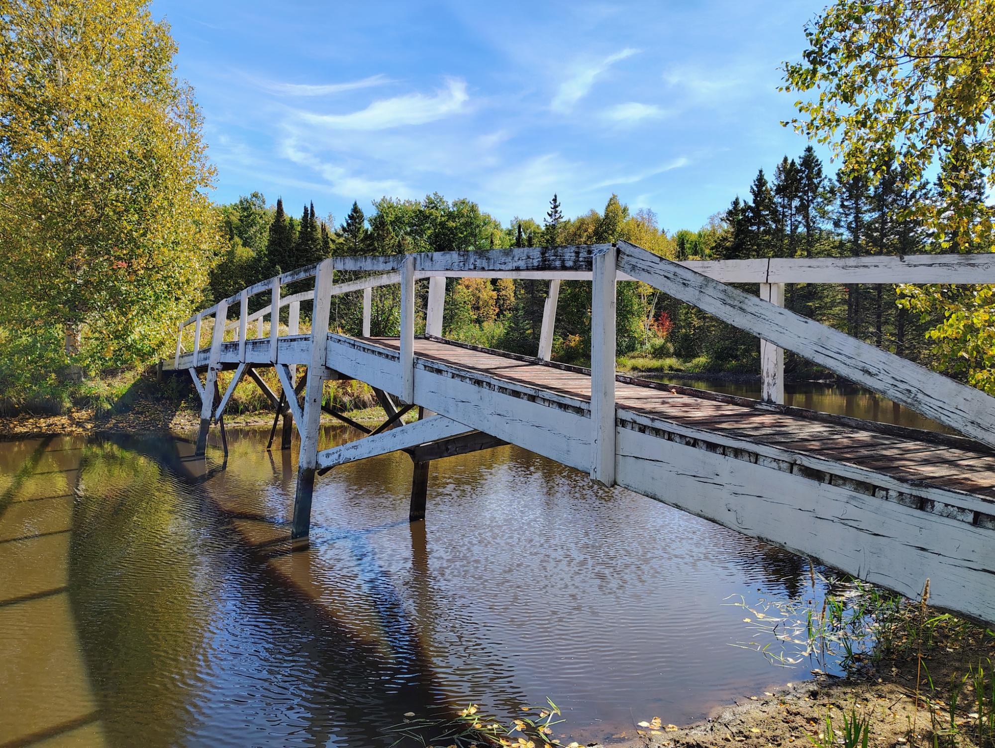 White wooden footbridge crossing a creek amid autumn woodland.