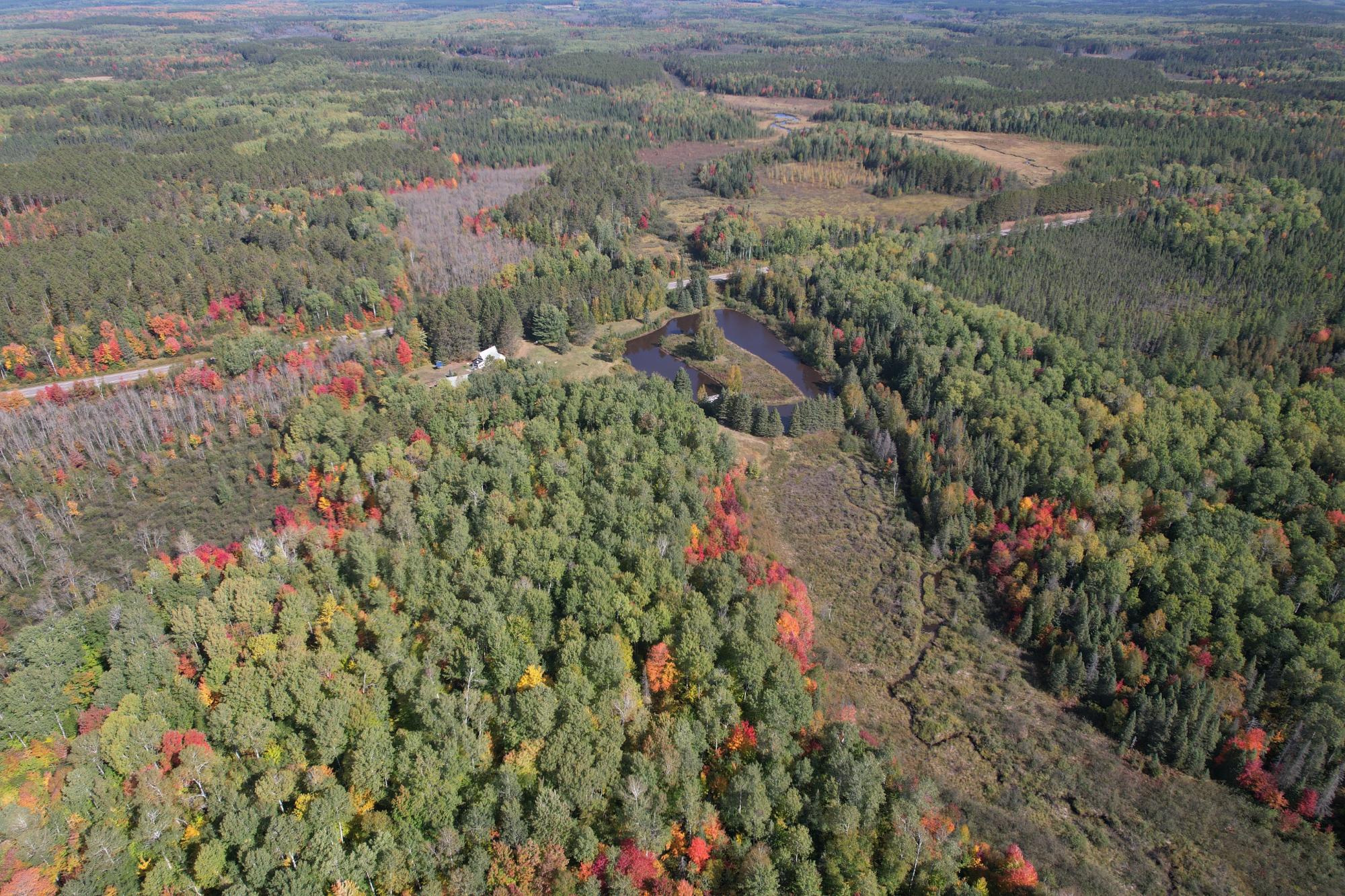 Aerial view of wooded acreage with a pond, wetlands, and a small residence in autumn.