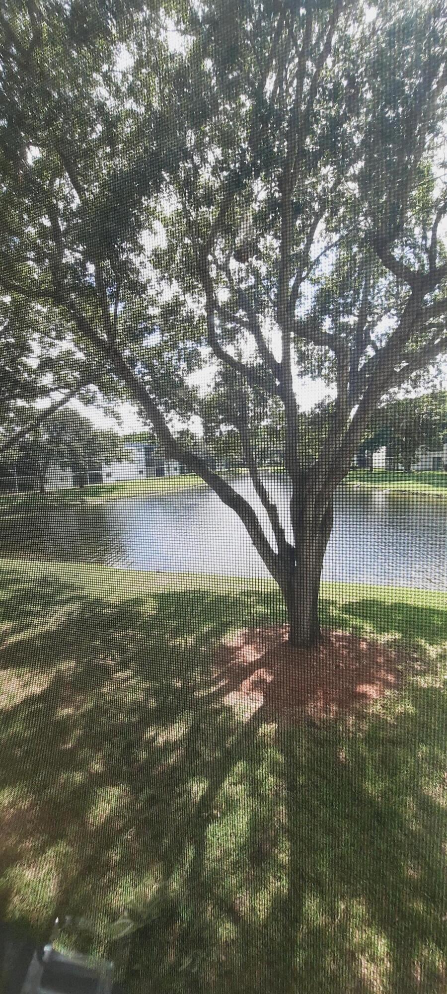15461 Pembridge Drive 207