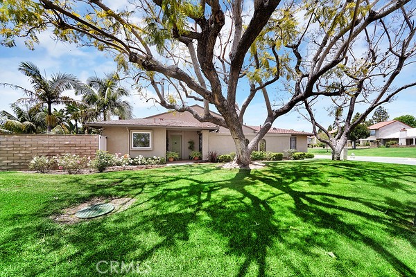 10738 Camino Real