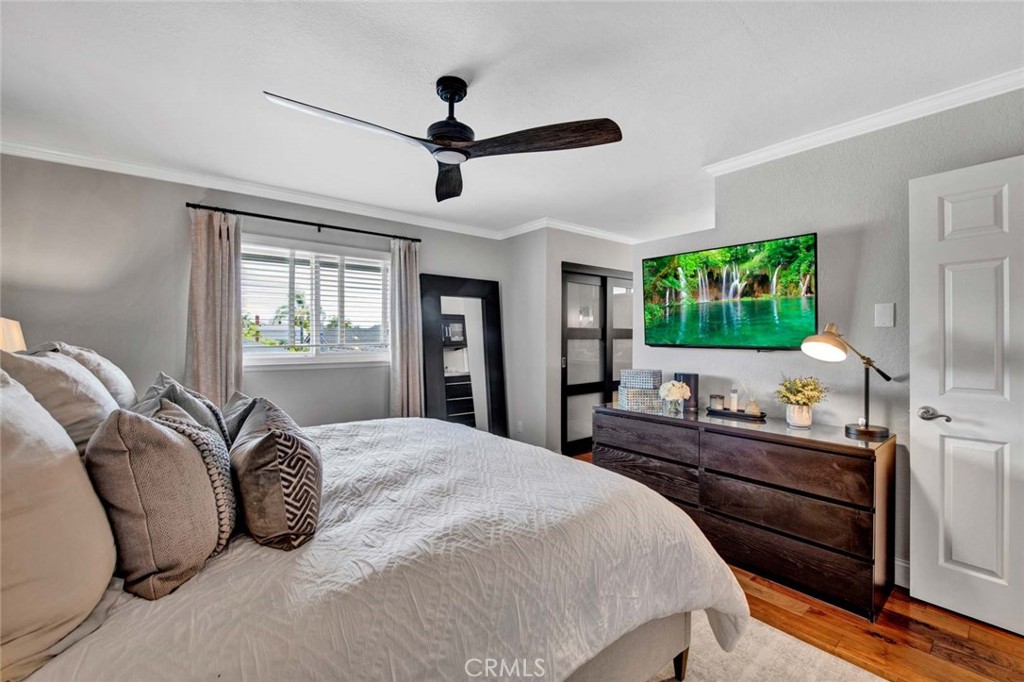 17157 Buttonwood