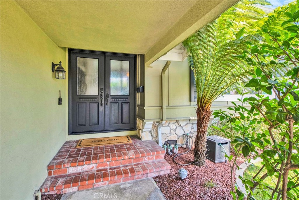 17157 Buttonwood