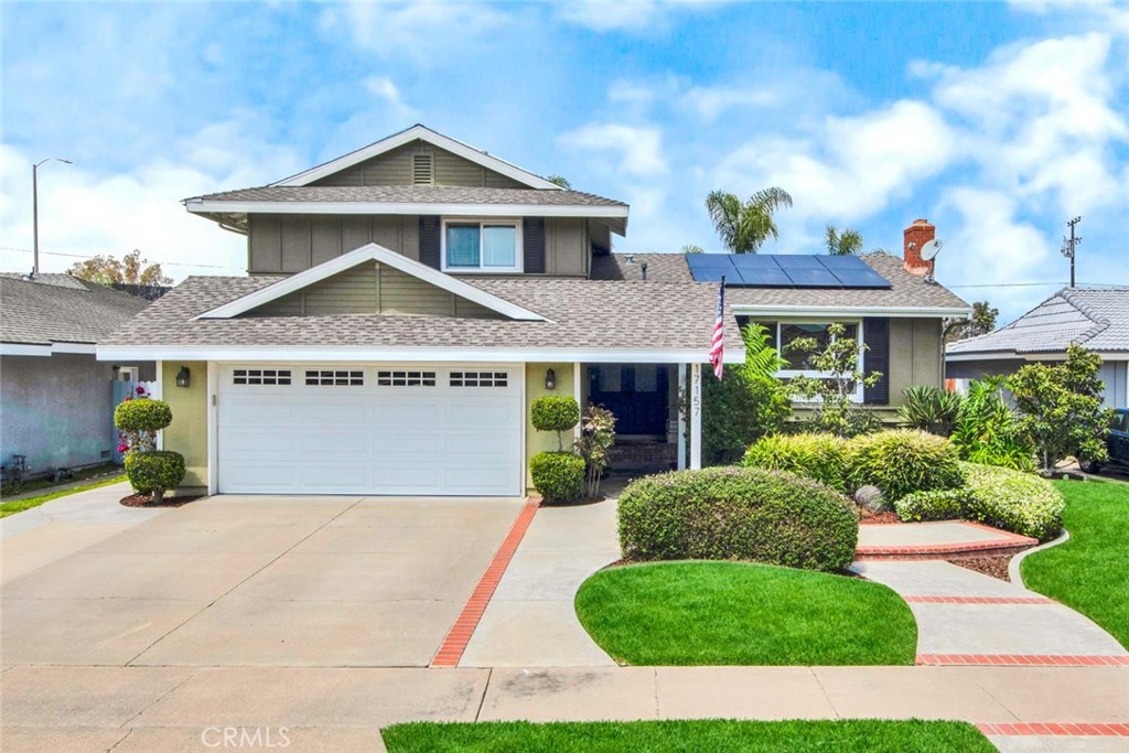 17157 Buttonwood