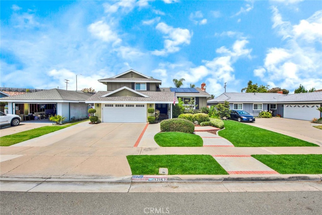 17157 Buttonwood