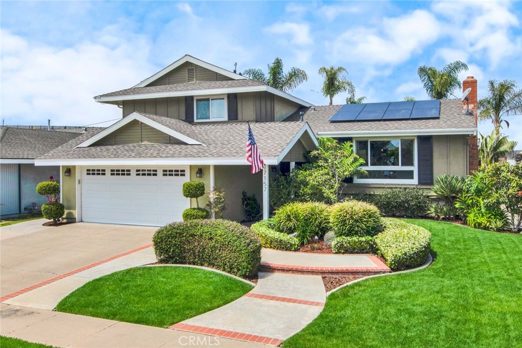 17157 Buttonwood